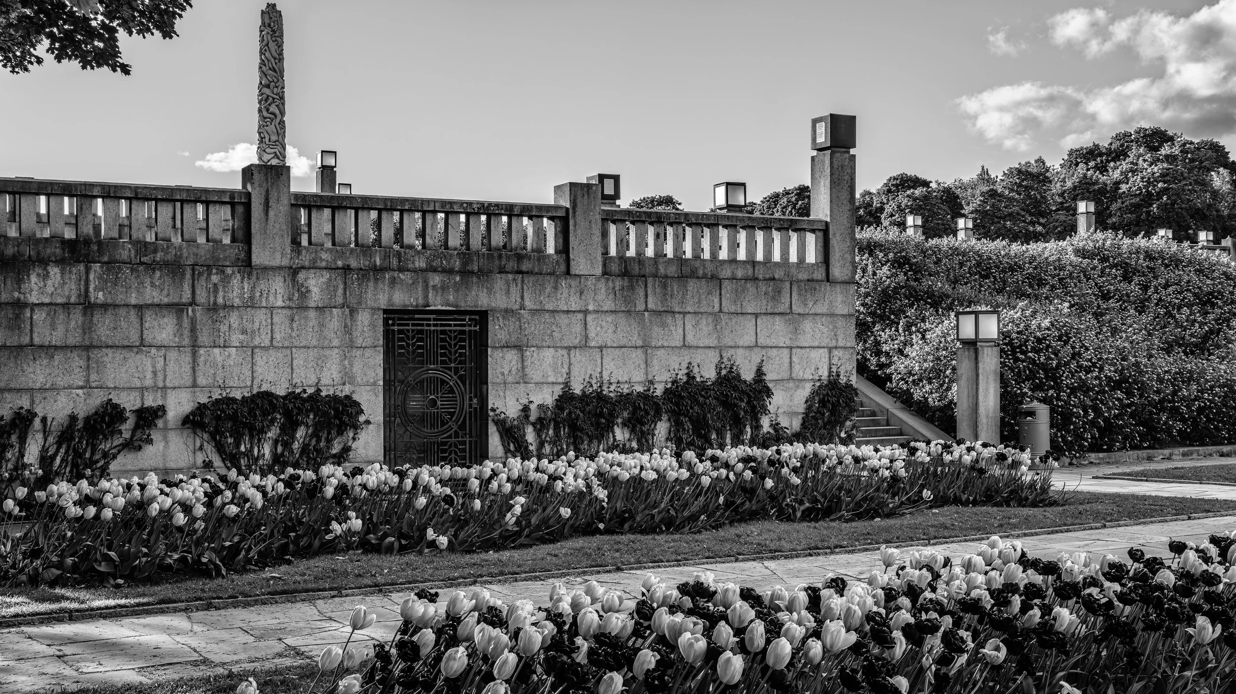 A black and white photo of a park with a stone wall, a decorative gate, and tulip flowers in the foreground, with trees and a cloudy sky in the background.