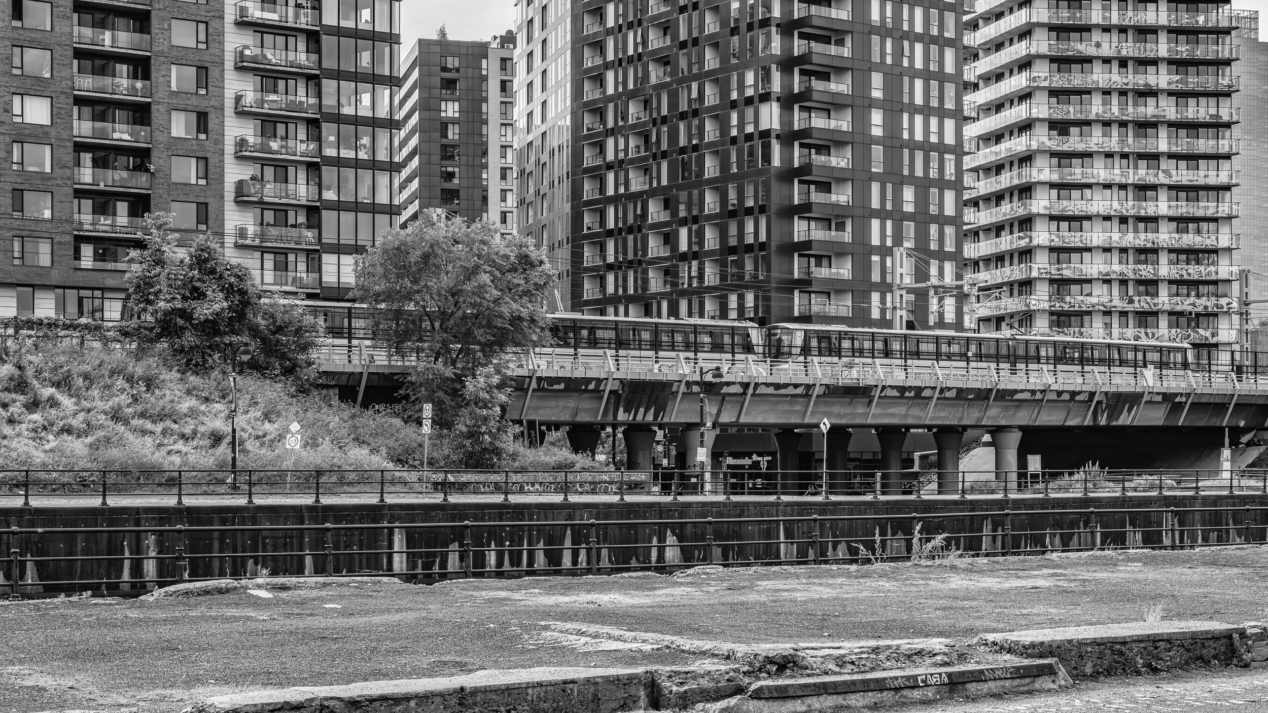 A cityscape with modern high-rise apartment buildings, a train on elevated tracks, and some trees in black and white.