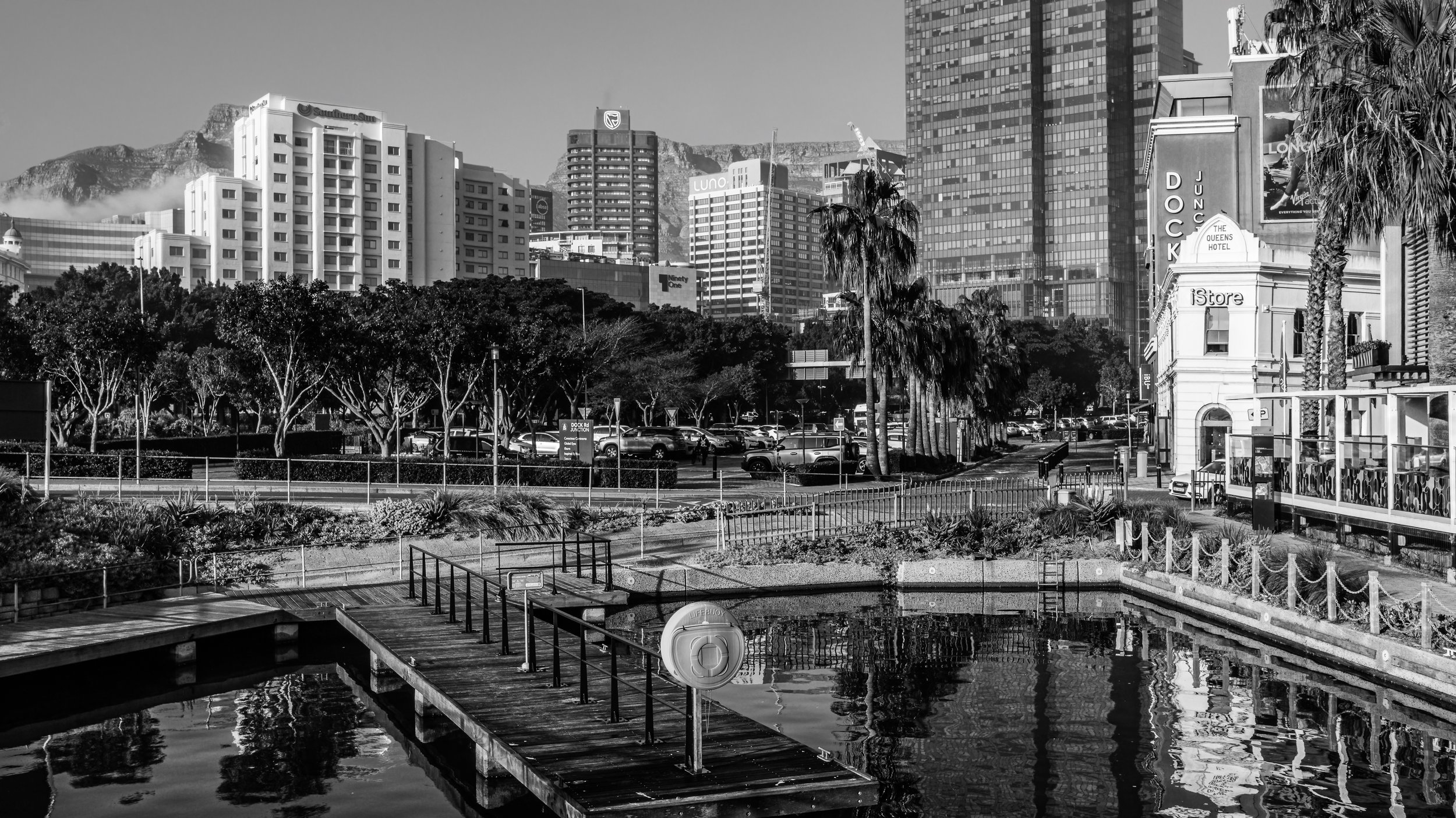 A black and white cityscape featuring tall buildings, palm trees, a parking lot, and a waterfront with a dock and a lifebuoy. Cape Town, South Africa.