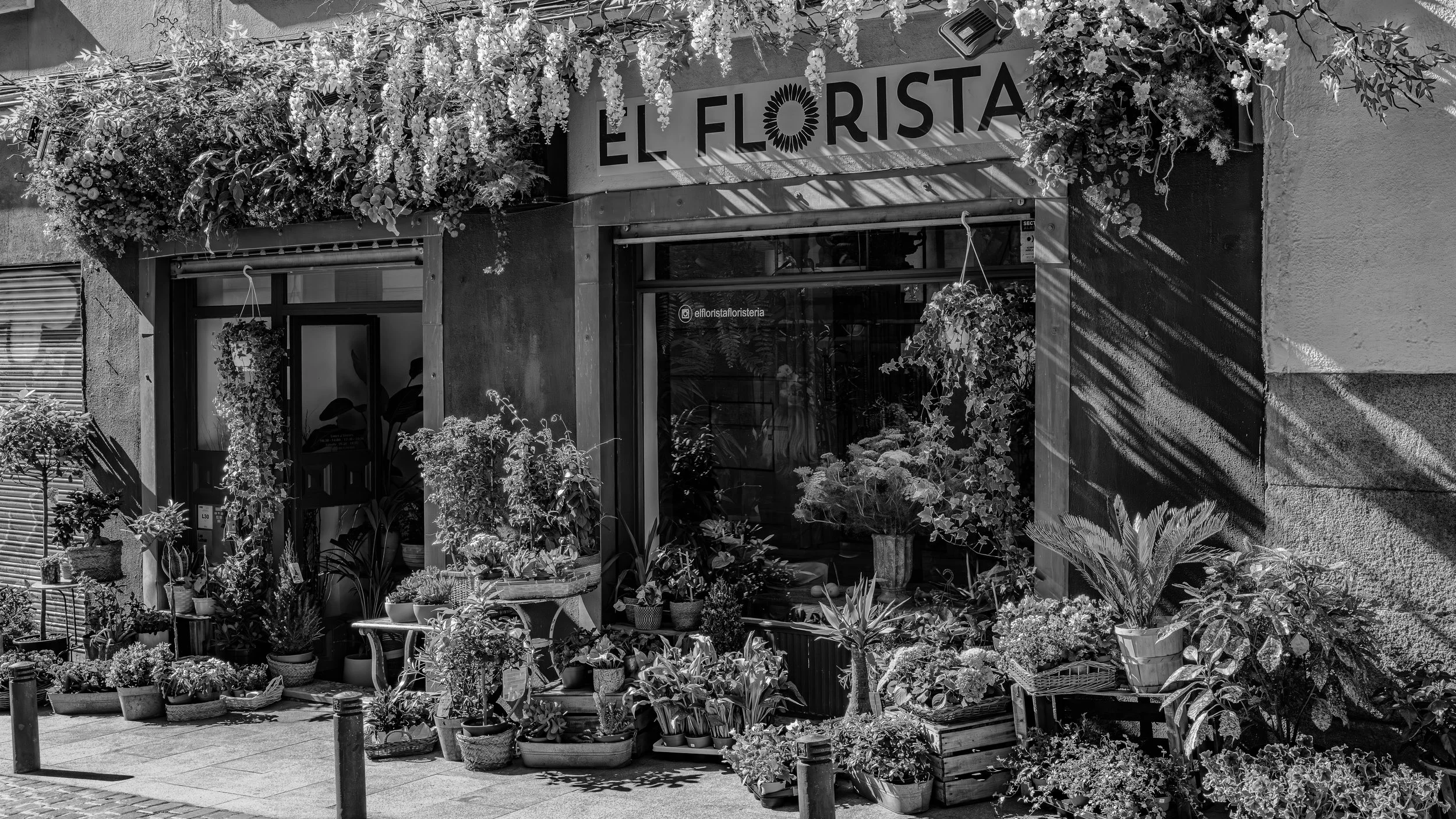 A storefront with a sign that reads "El Florista," decorated with hanging and potted plants and flowers outside.