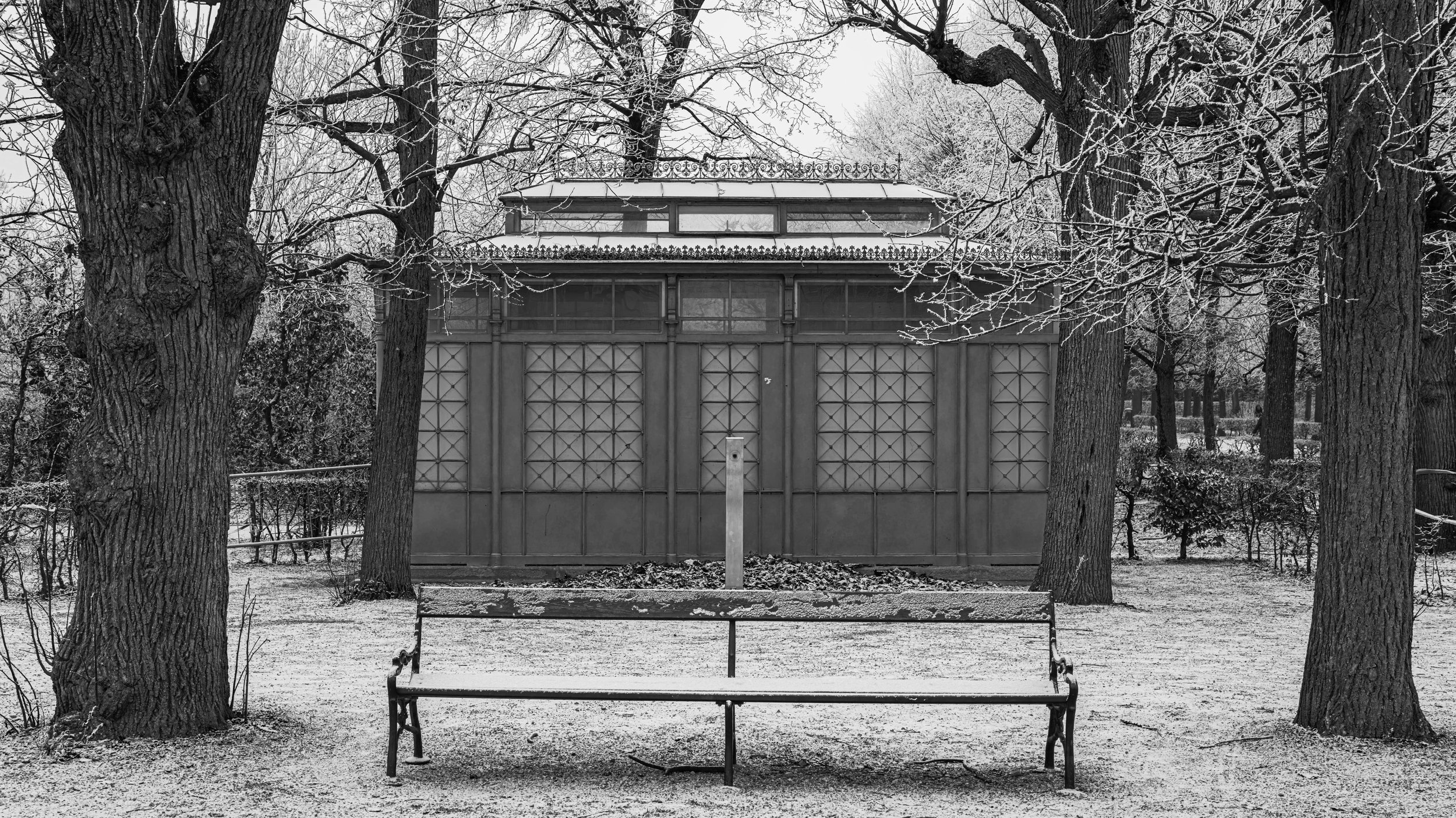 A black and white photo of a park scene with trees, a bench, and a small building in the background surrounded by snow.