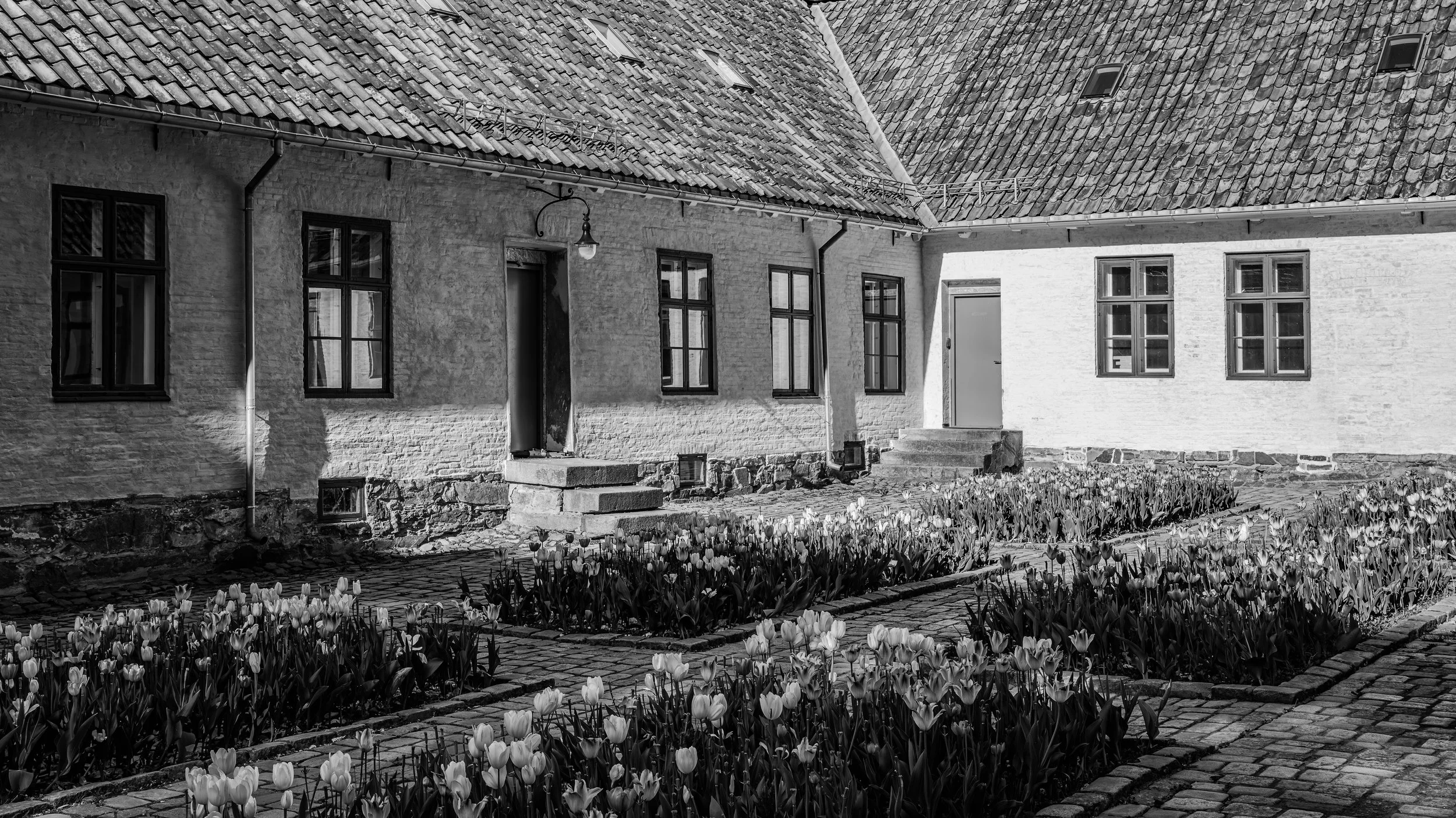 Black and white photo of a house with multiple windows, tiled roof, and a small garden with blooming tulips in the front.