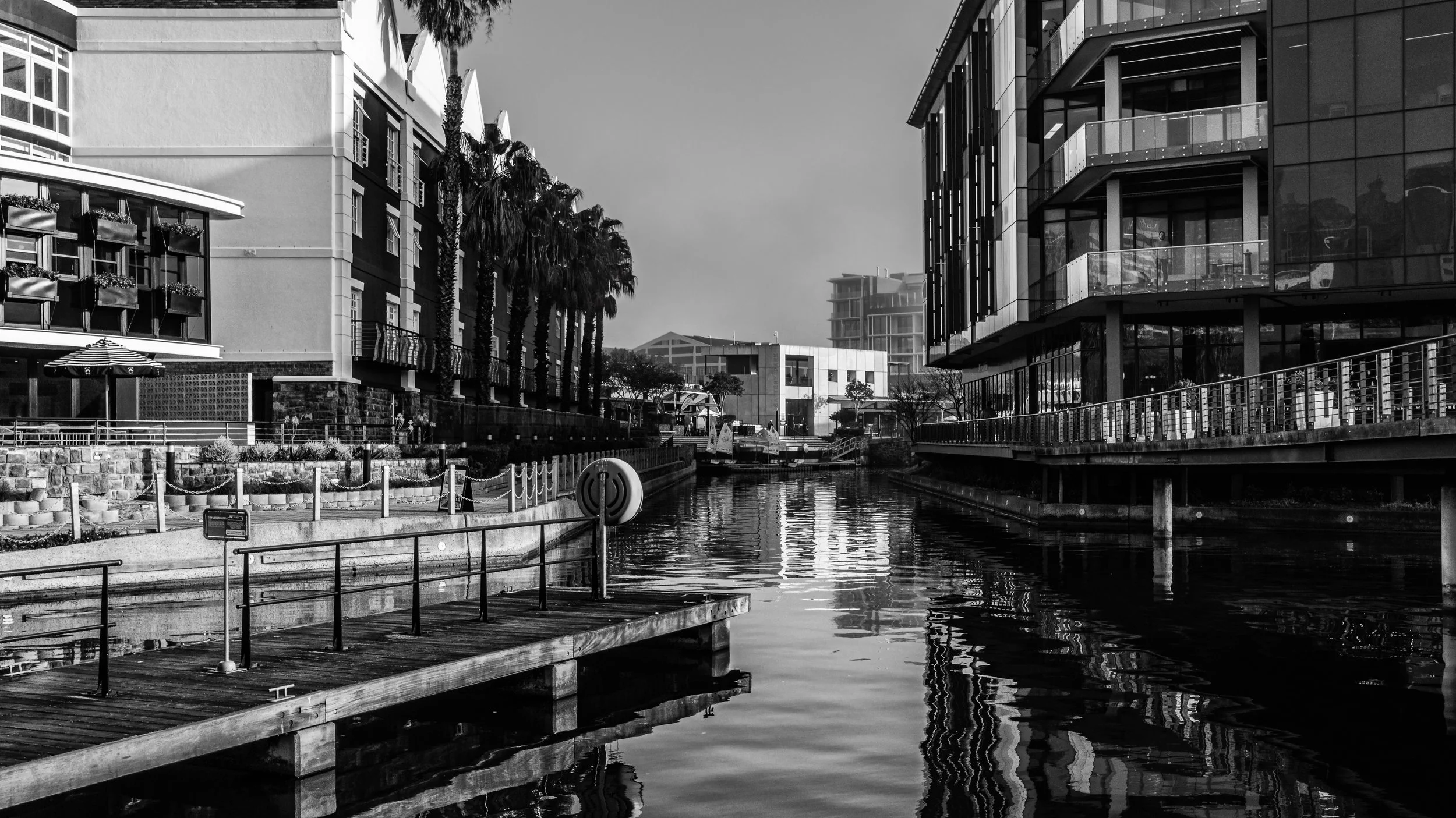 A black and white photo of a modern city waterfront with buildings, palm trees, and reflections in the water. Cape Town, South Africa.