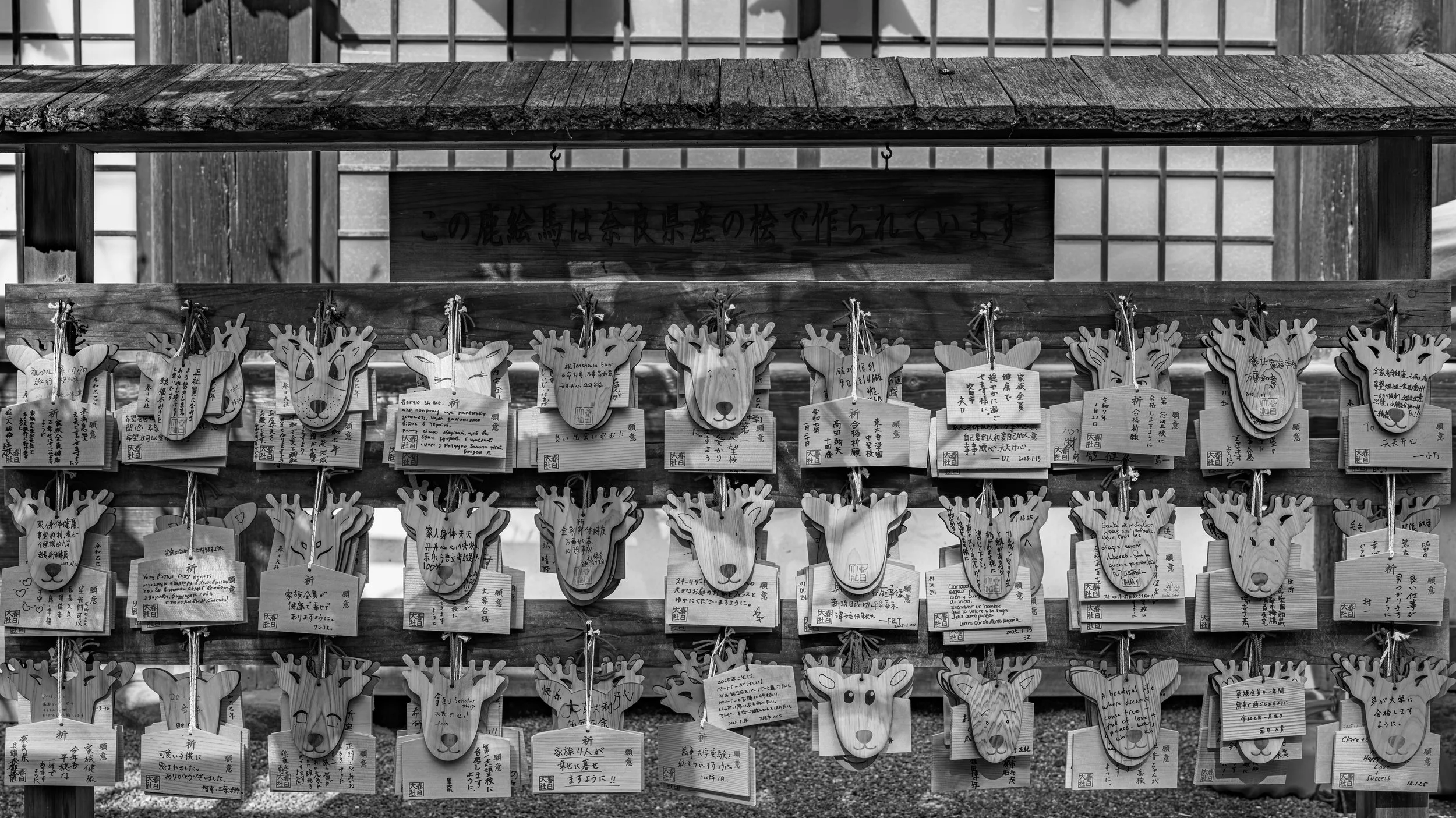 Wooden rack displaying multiple deer-shaped wooden ema plaques with handwritten messages in Japanese and English, hung with strings and hooks in front of a traditional Japanese building.
