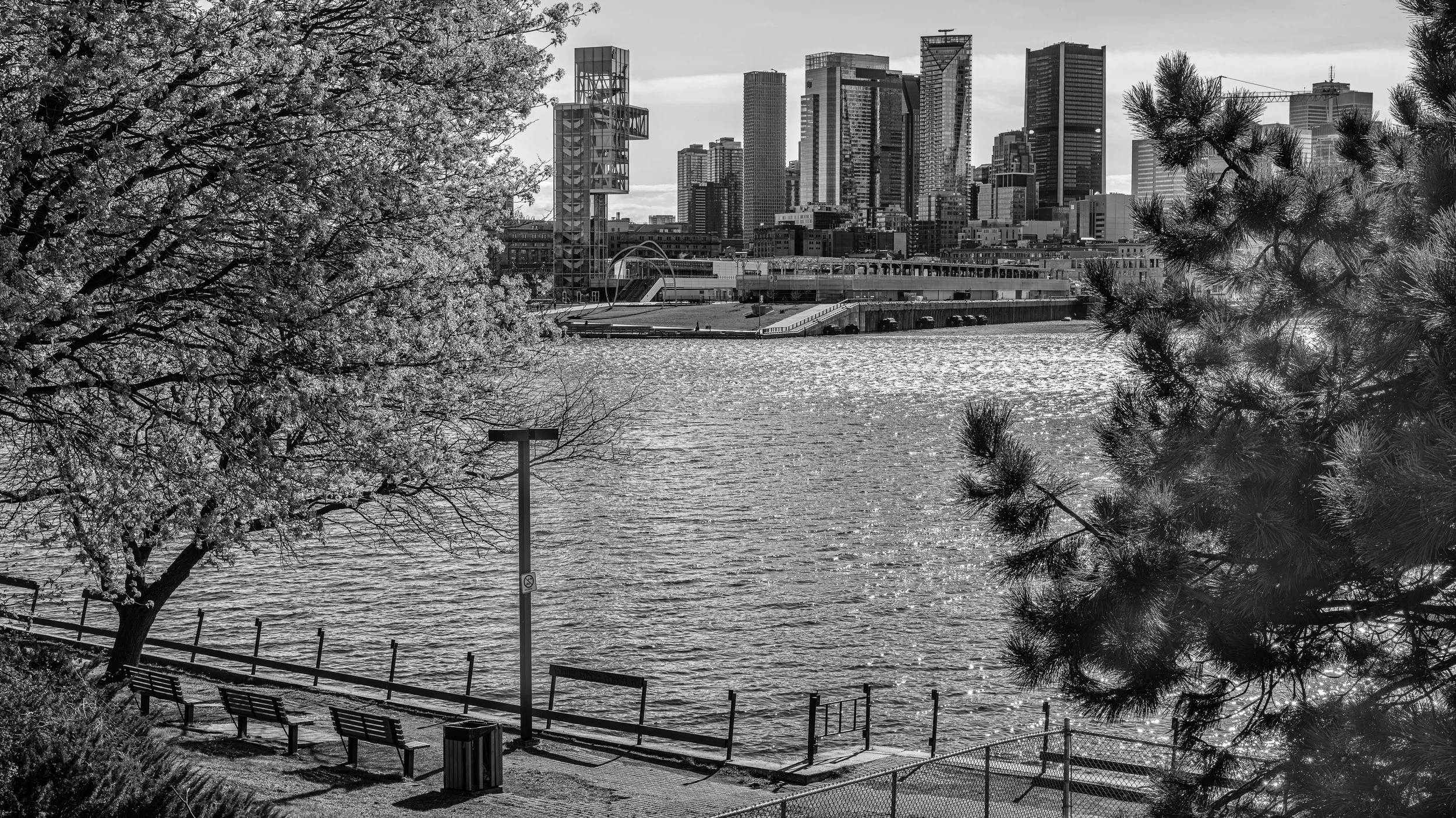 Black and white photo of a city skyline with tall buildings in the background, a river in the foreground, trees on both sides, benches, and a trash can in a park area.