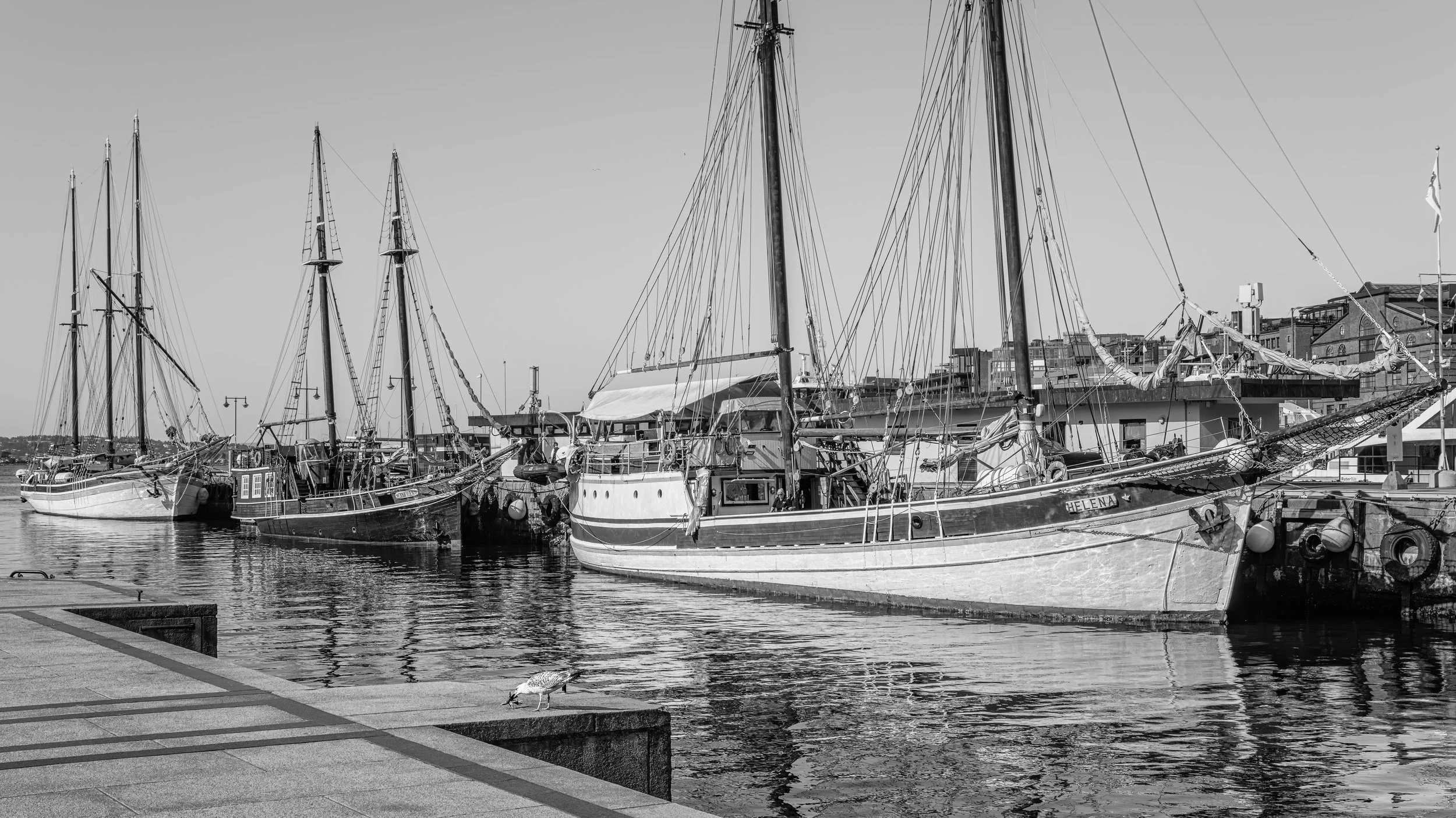 OSLO 142.jpg