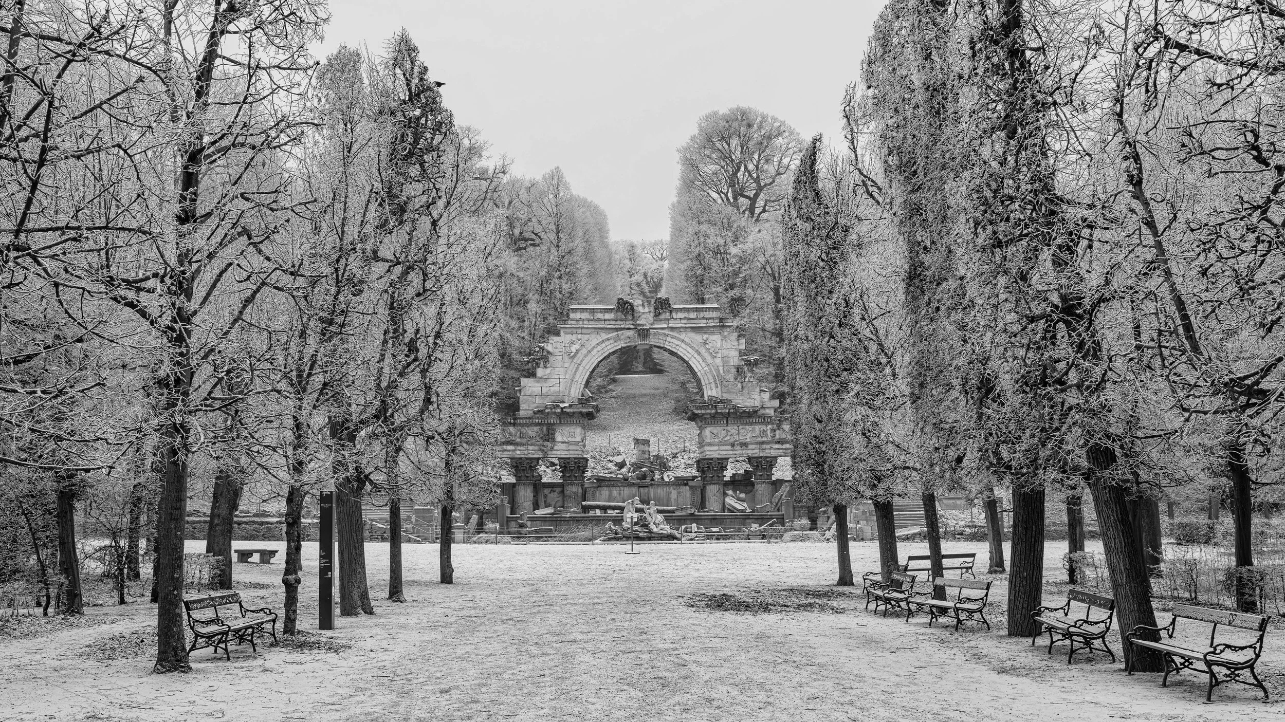 VIENNA 02.jpg