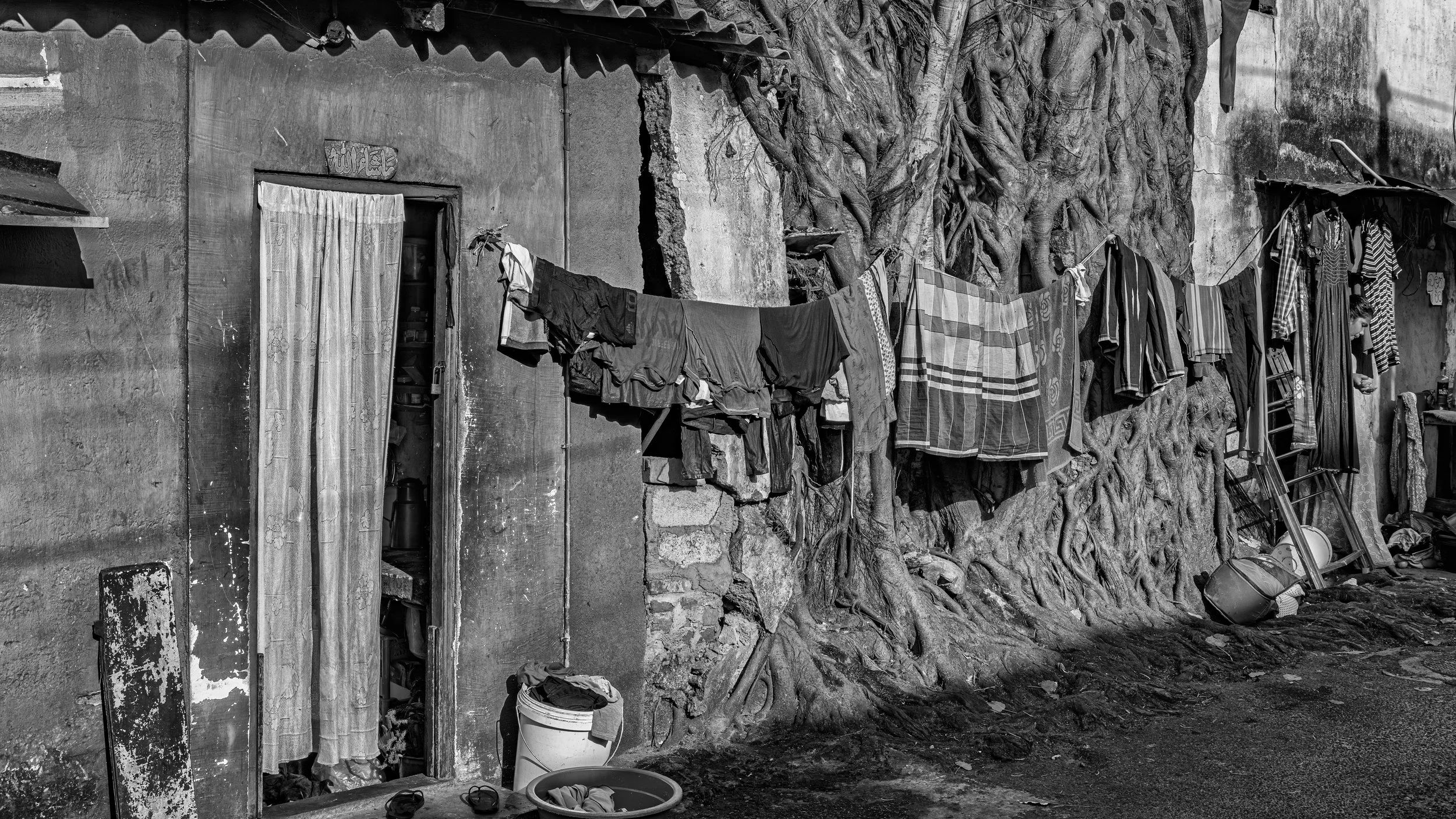 A building exterior with hanging laundry, a small window with curtains, and a large tree with exposed roots growing beside it. Various household items are scattered around.
