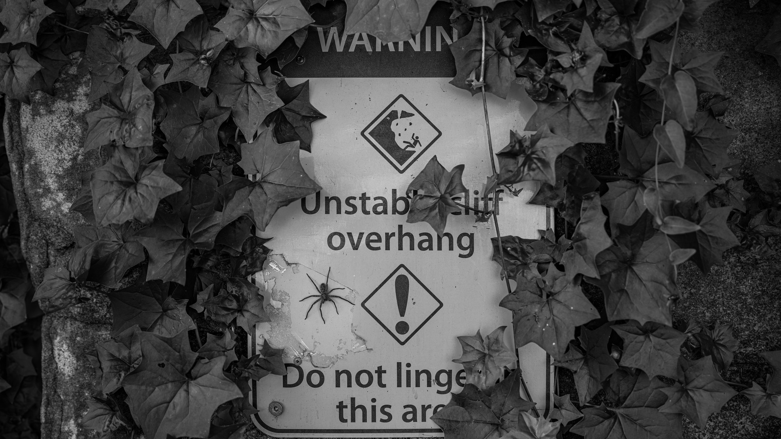 A warning sign partially covered by ivy, warning of an unstable cliff overhang, with symptoms of falling rocks and danger.