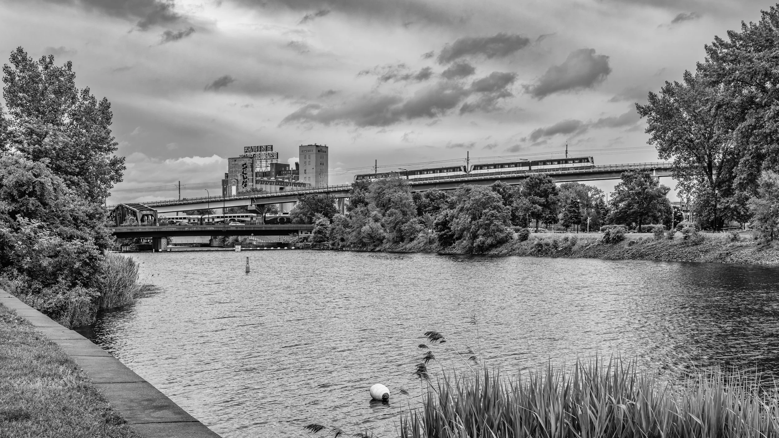 A black and white photo of a riverbank with trees, a bridge, and a train passing overhead in an urban setting.