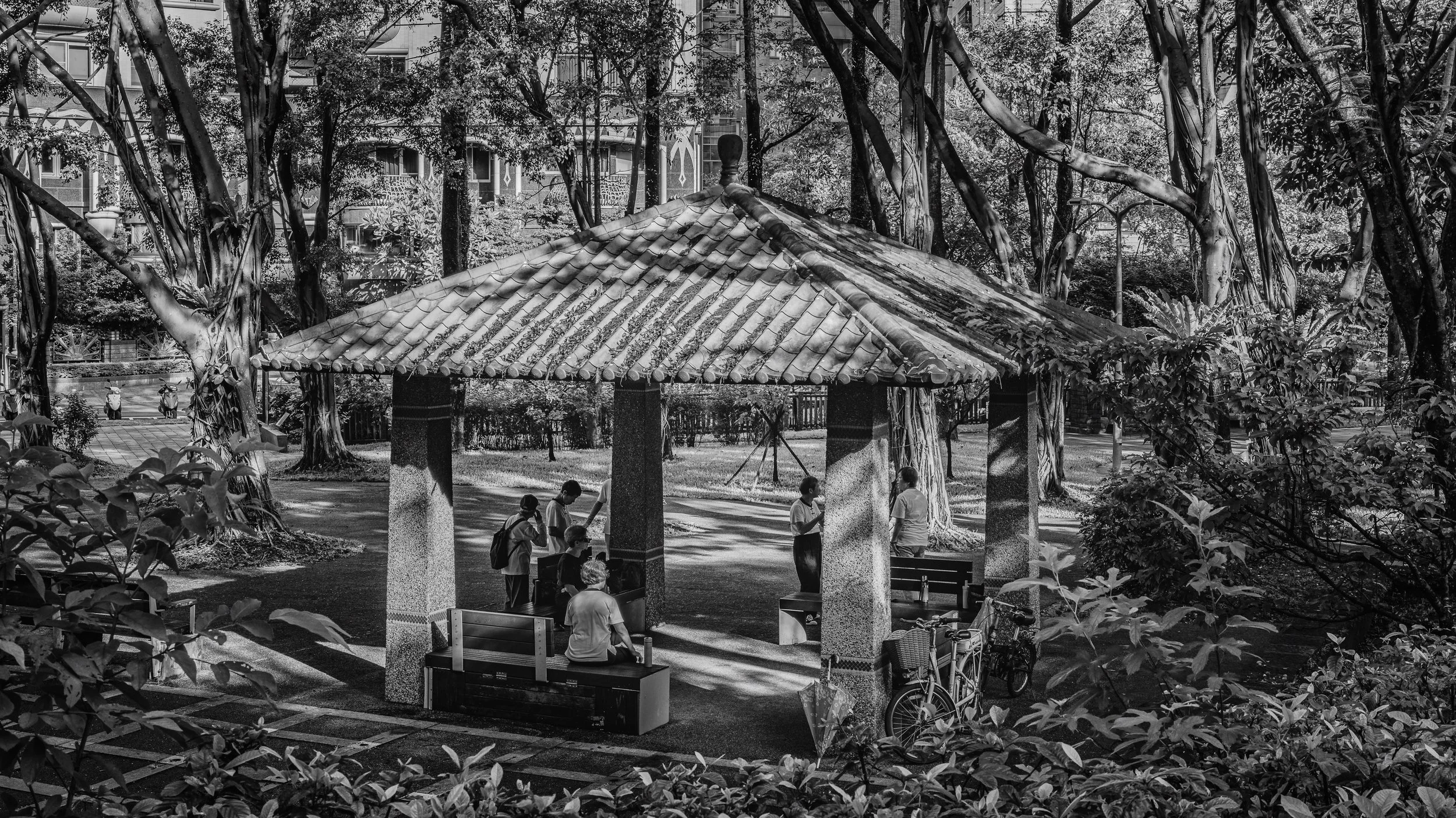 People gathered under a tiled roof pavilion in a park, surrounded by trees and benches, with high-rise buildings visible in the background.