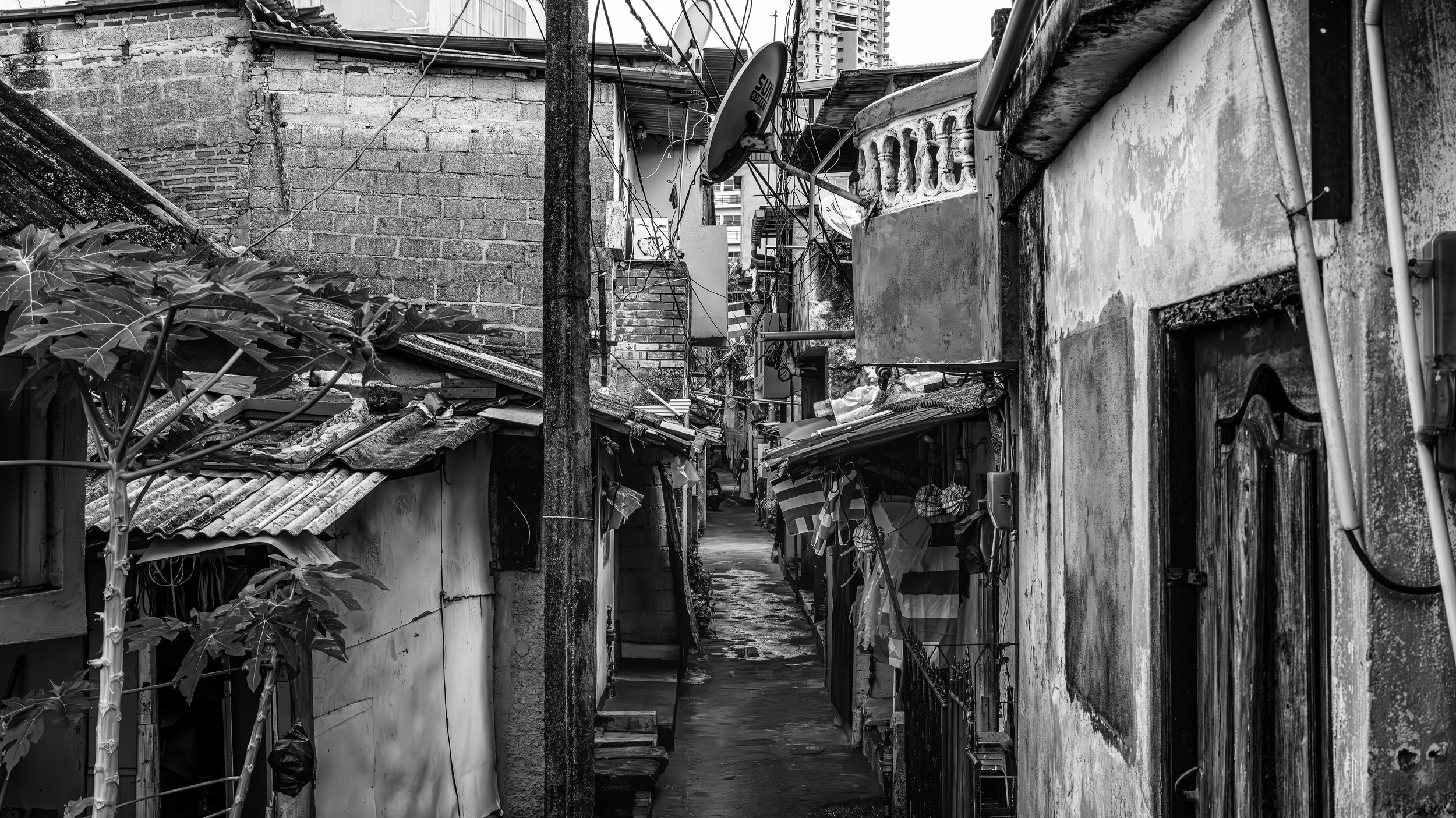 A narrow alleyway between old, weathered buildings with makeshift structures and tangled electrical wires. Satellite dish is attached to a pole, and neighboring walls show exposed brick and peeling paint, with a small plant in the foreground.