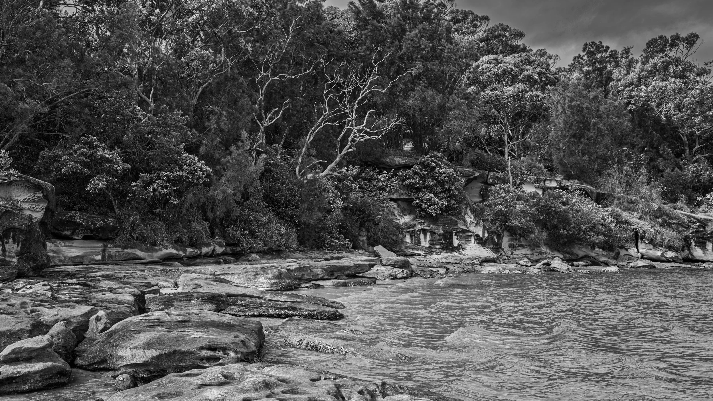Black and white photo of a lush forested riverside with rocks in the foreground and dense trees on the riverbank.