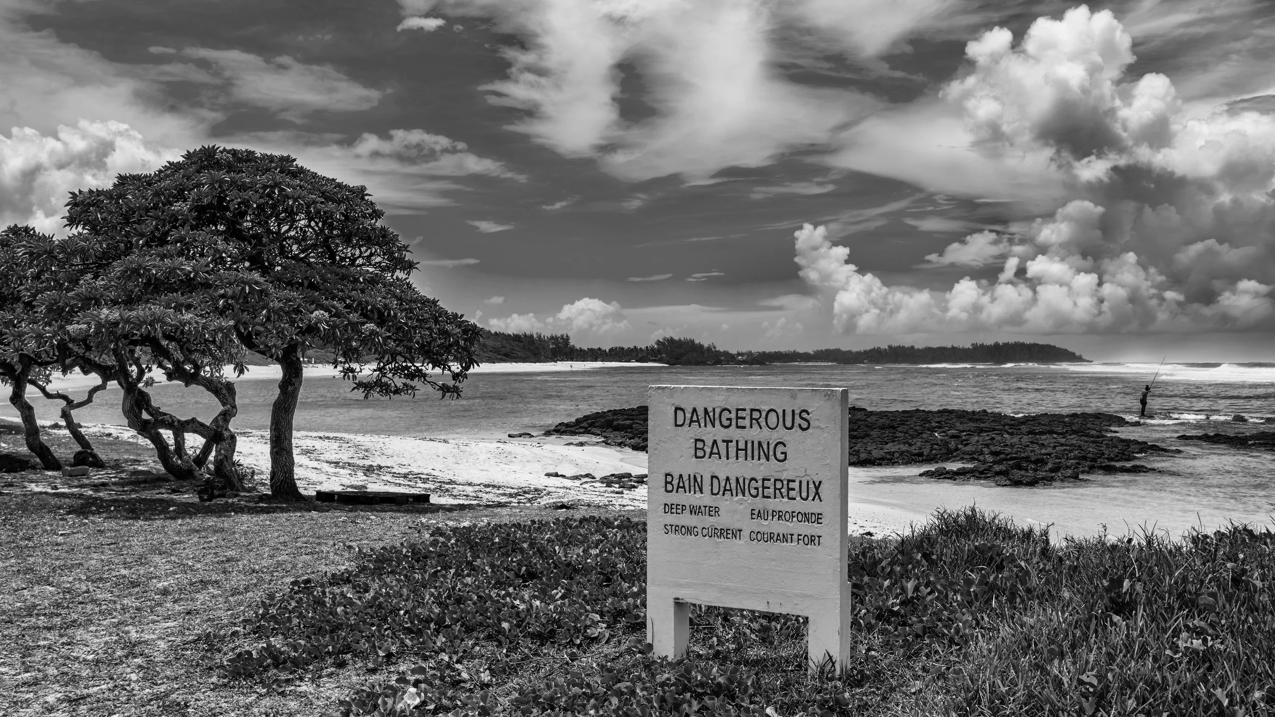 A black and white photo of a coastal scene with trees on the beach, a sign warning about dangerous swimming in multiple languages, and a person fishing in the water.