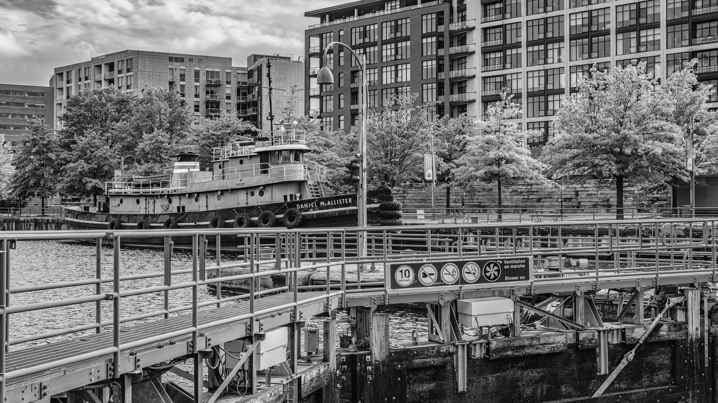 Black and white photo of a tugboat named Daniel McAllister docked near modern apartment buildings, with trees and city infrastructure in the background.
