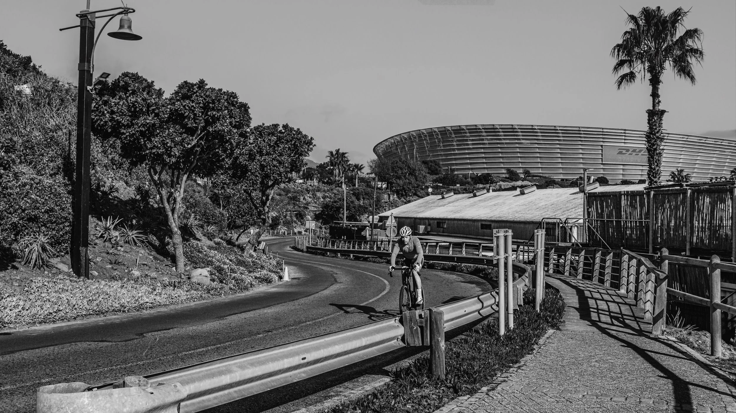 A cyclist riding up a winding road near a large stadium and palm trees, with trees and a streetlight in the foreground, in black and white. Cape Town, South Africa.
