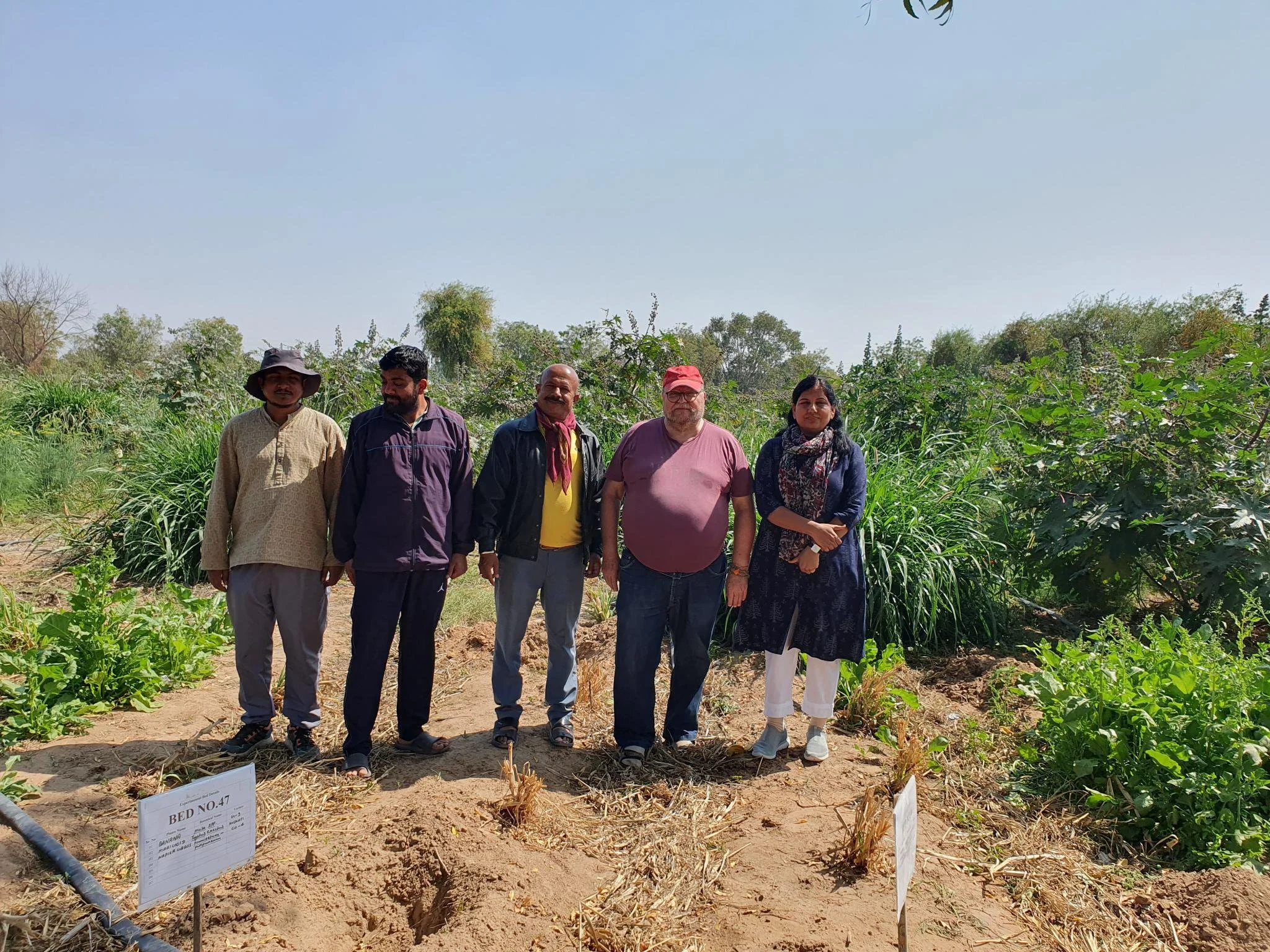 India Agriculture Uni.jpeg