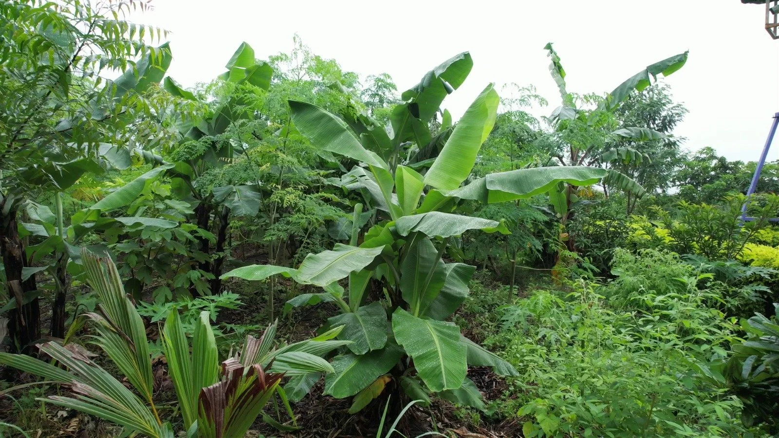 WhatsApp Image 2023-11-10 at 06.24.143.jpeg