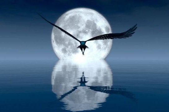 Healing the Physical, Emotional, Mental, Energetic and Spiritual Bodies as a Whole