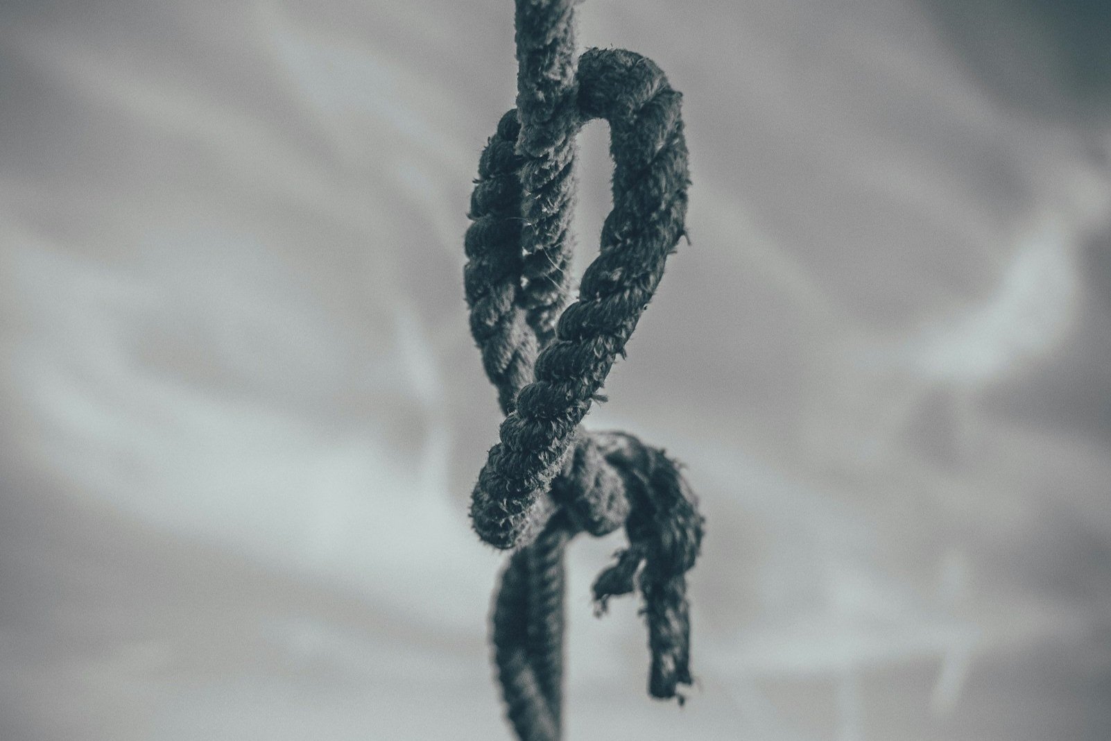 The Martyr-Victim - Perpetrator Triangle