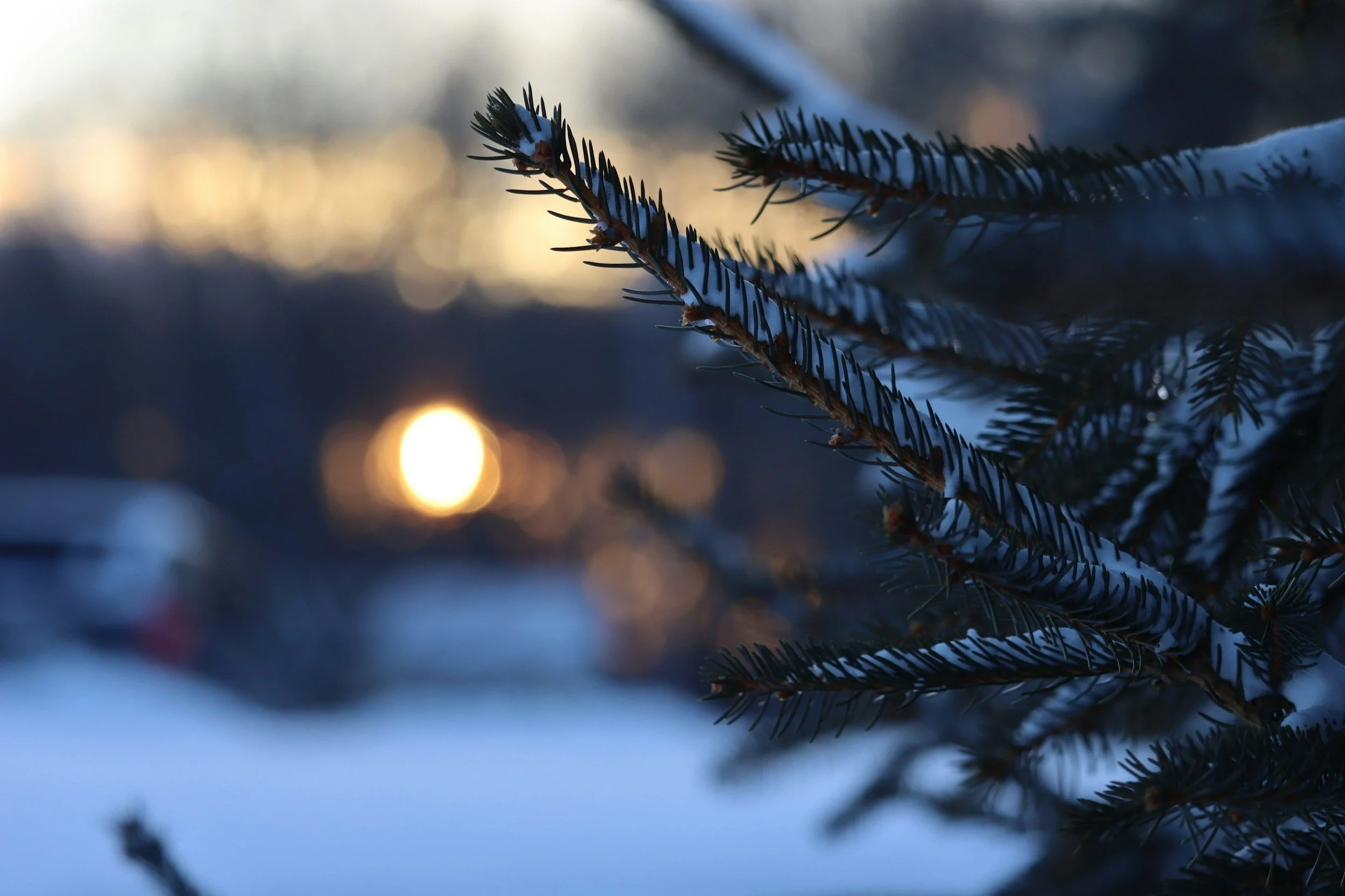 Winter Solstice - Being Comfortable within Darkness &amp; Stillness