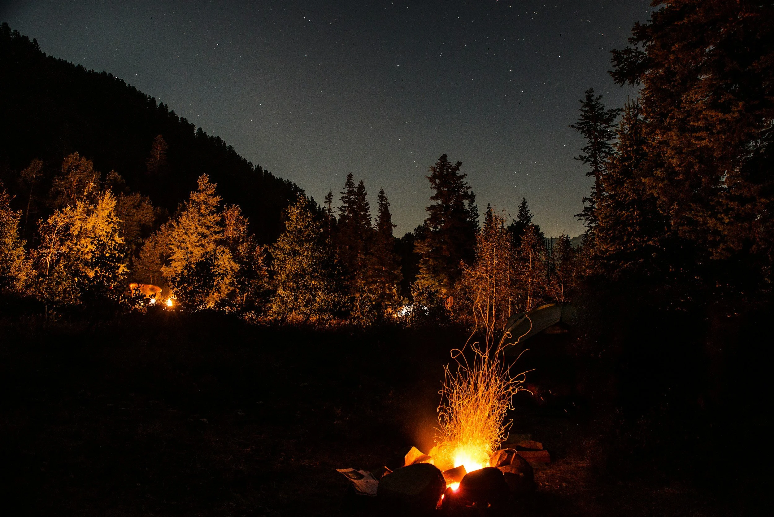 Heart Conscious Embodiment - Discernment &amp; Inner Safety