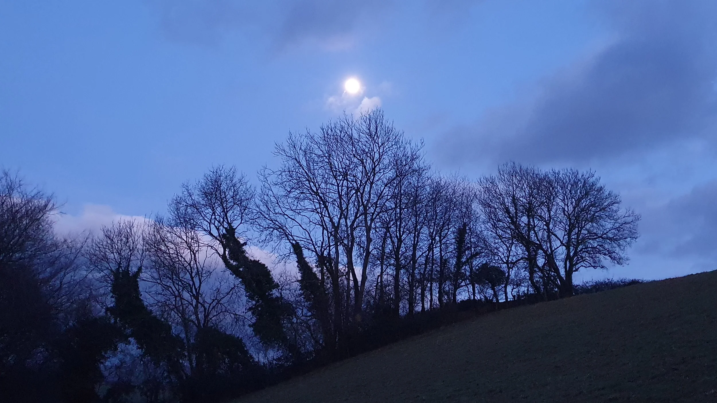 Cancer Full Moon Meditation - Coming Home to Self