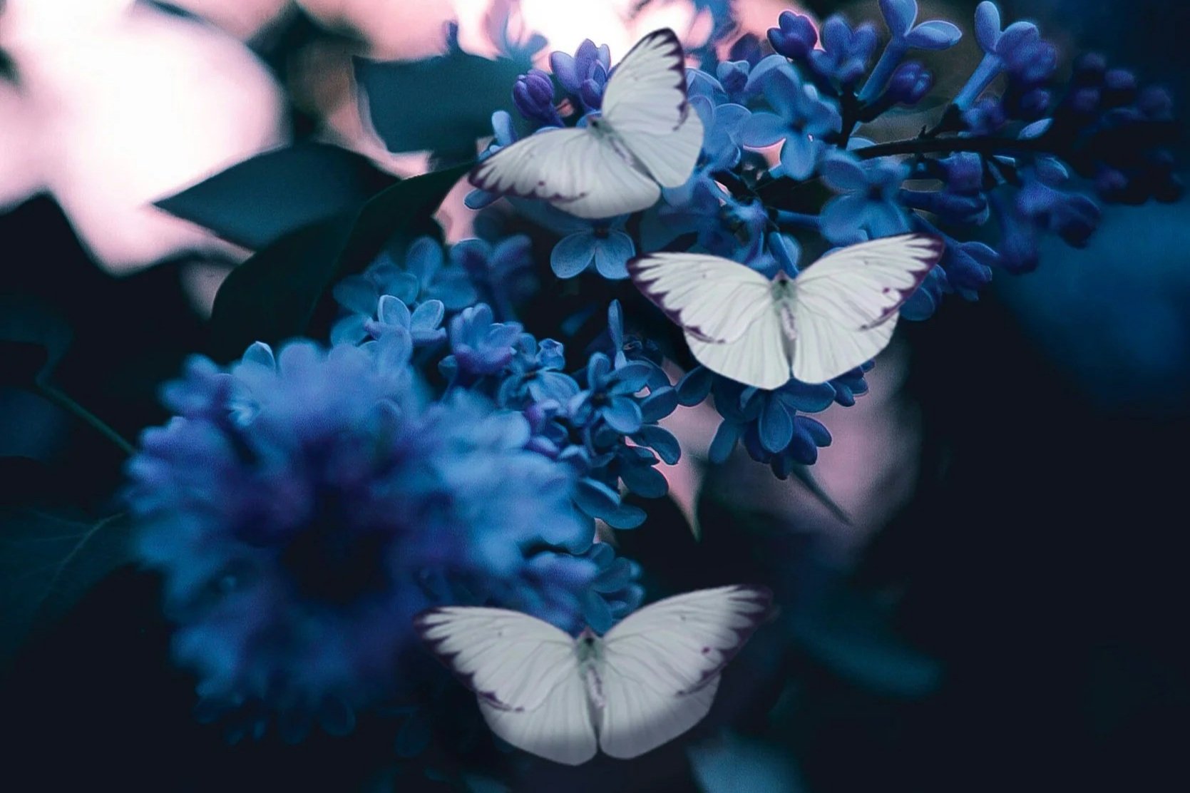 Are you the Crunching Munching Caterpillar or the Butterfly?