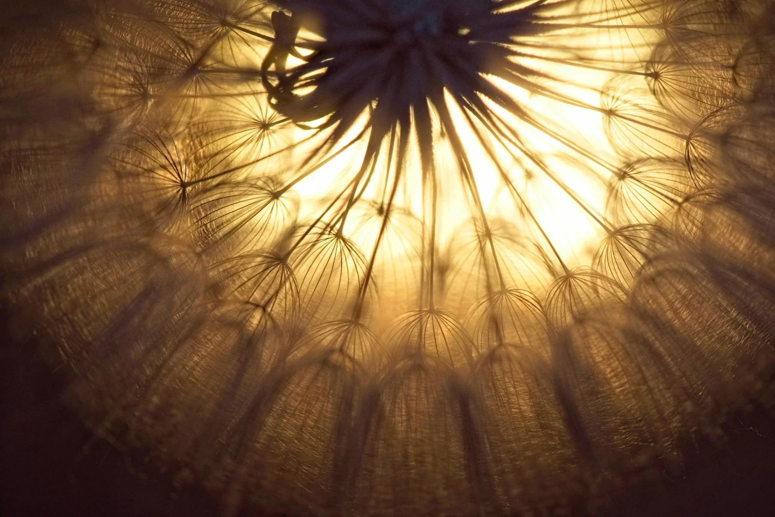 The Gatekeepers of Life of the Creatix are Awakening