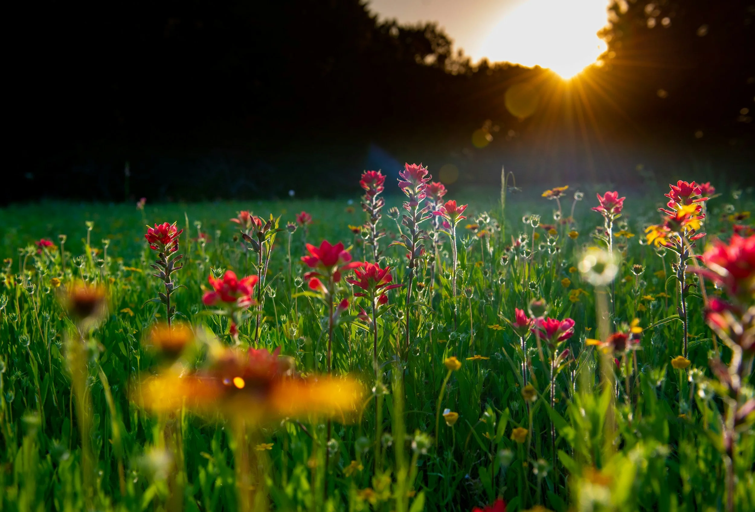 New Moon in Gemini - Embodying Your Full Radiance in Grace