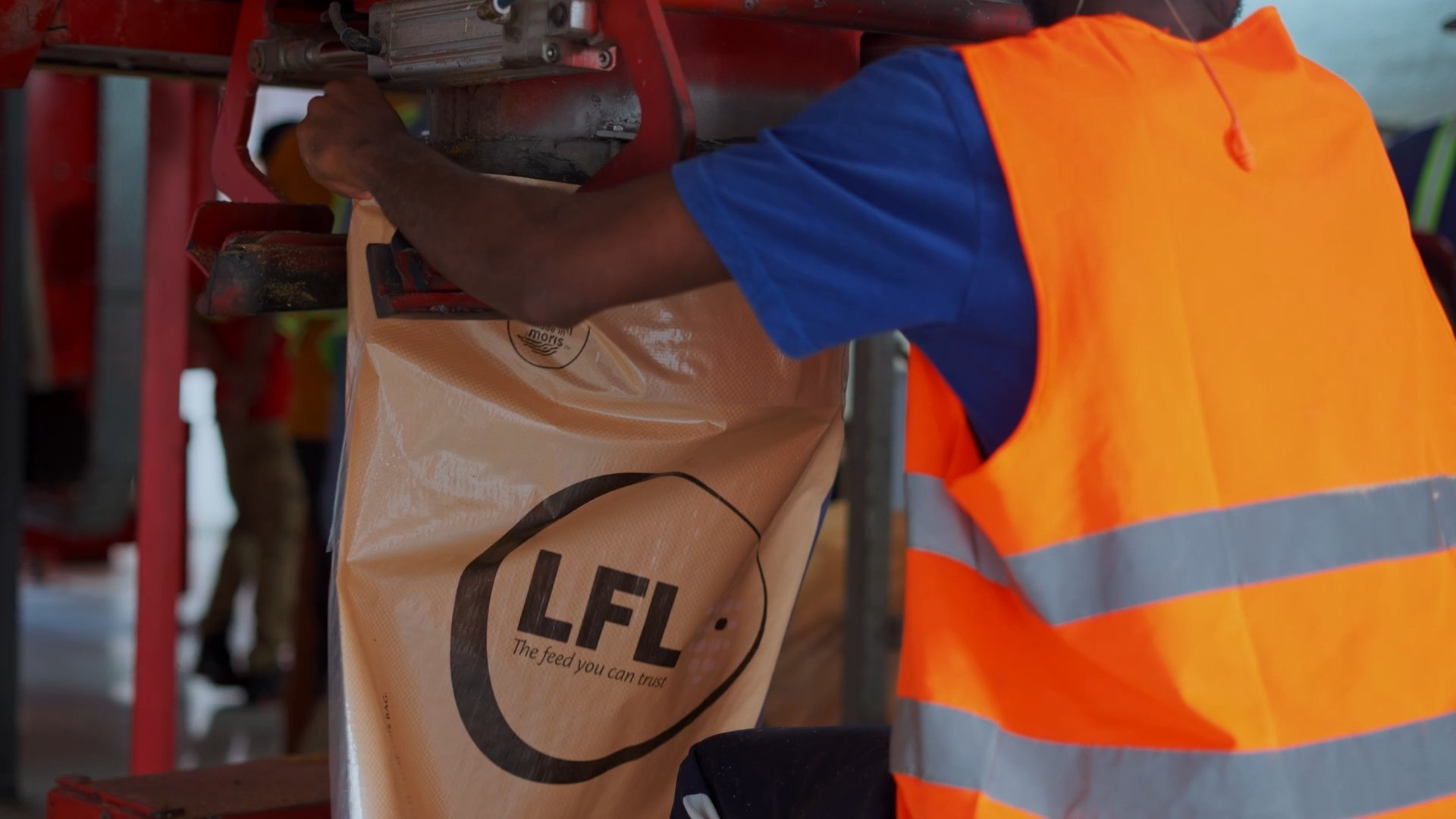 1_1.1.9.jpg