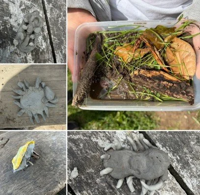Who knew woodlice have square poo?