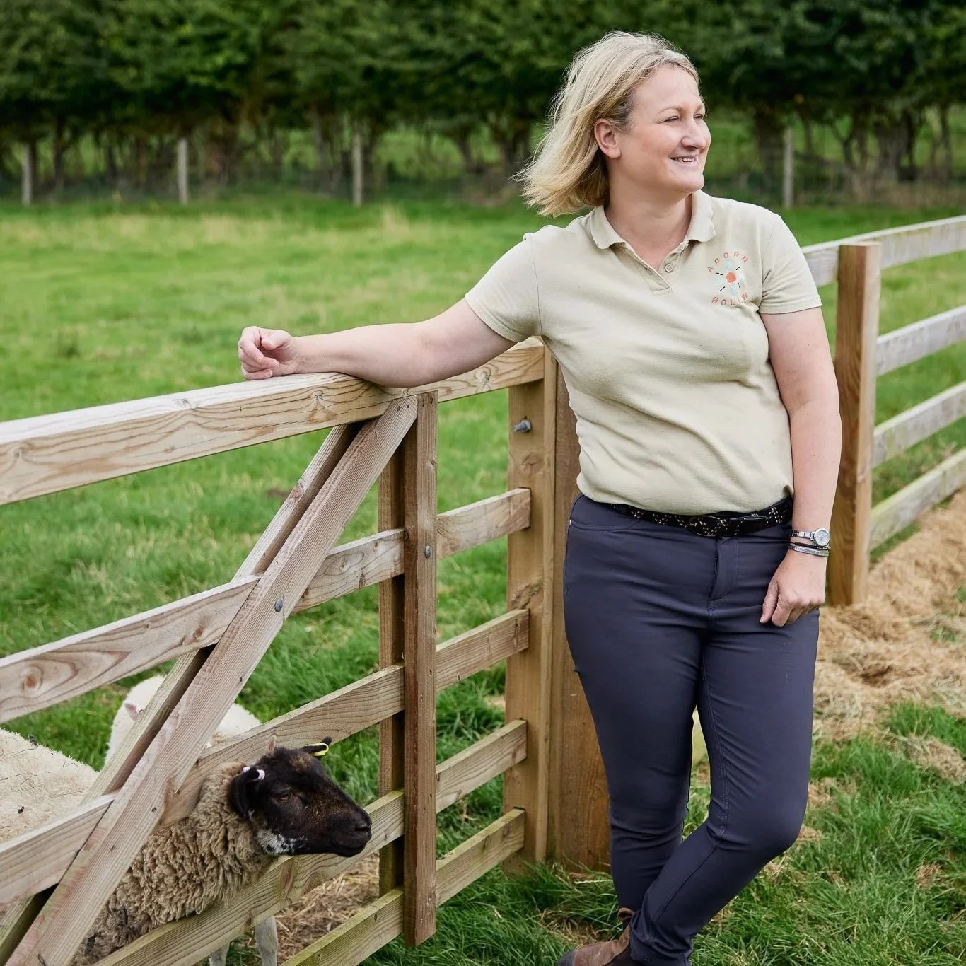 acorn-hollow-WEB-001.jpg (Copy) (Copy) (Copy) (Copy)