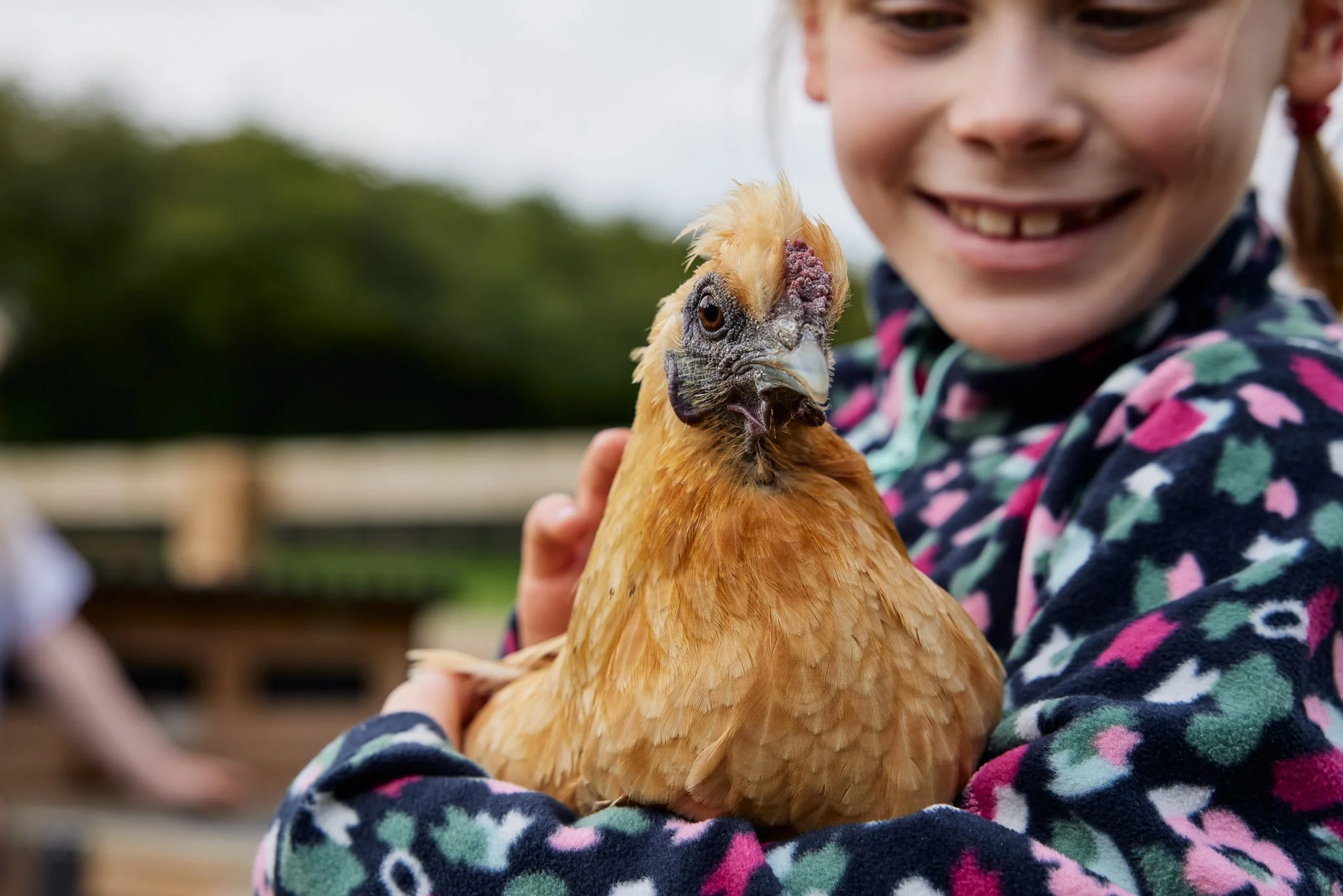Learning on the Farm - Summer - Thursday 16th July 2026