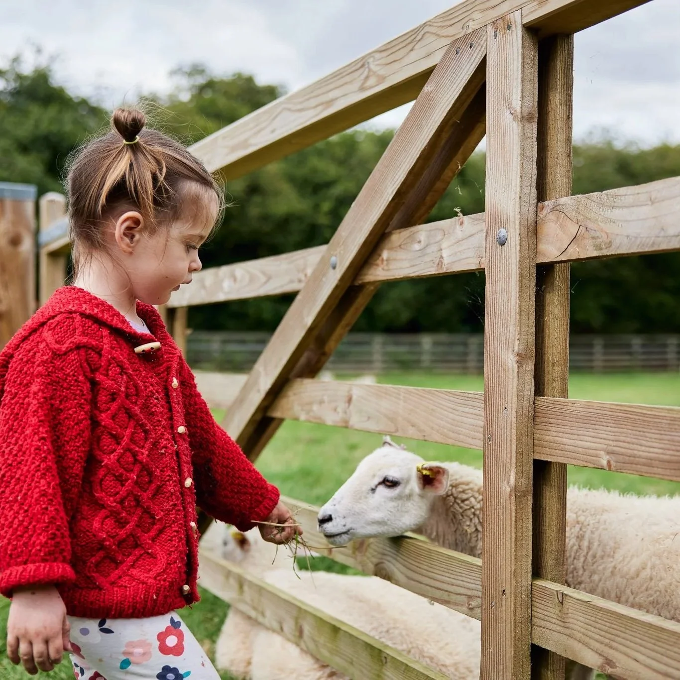 acorn-hollow-WEB-017.jpg (Copy) (Copy) (Copy) (Copy)