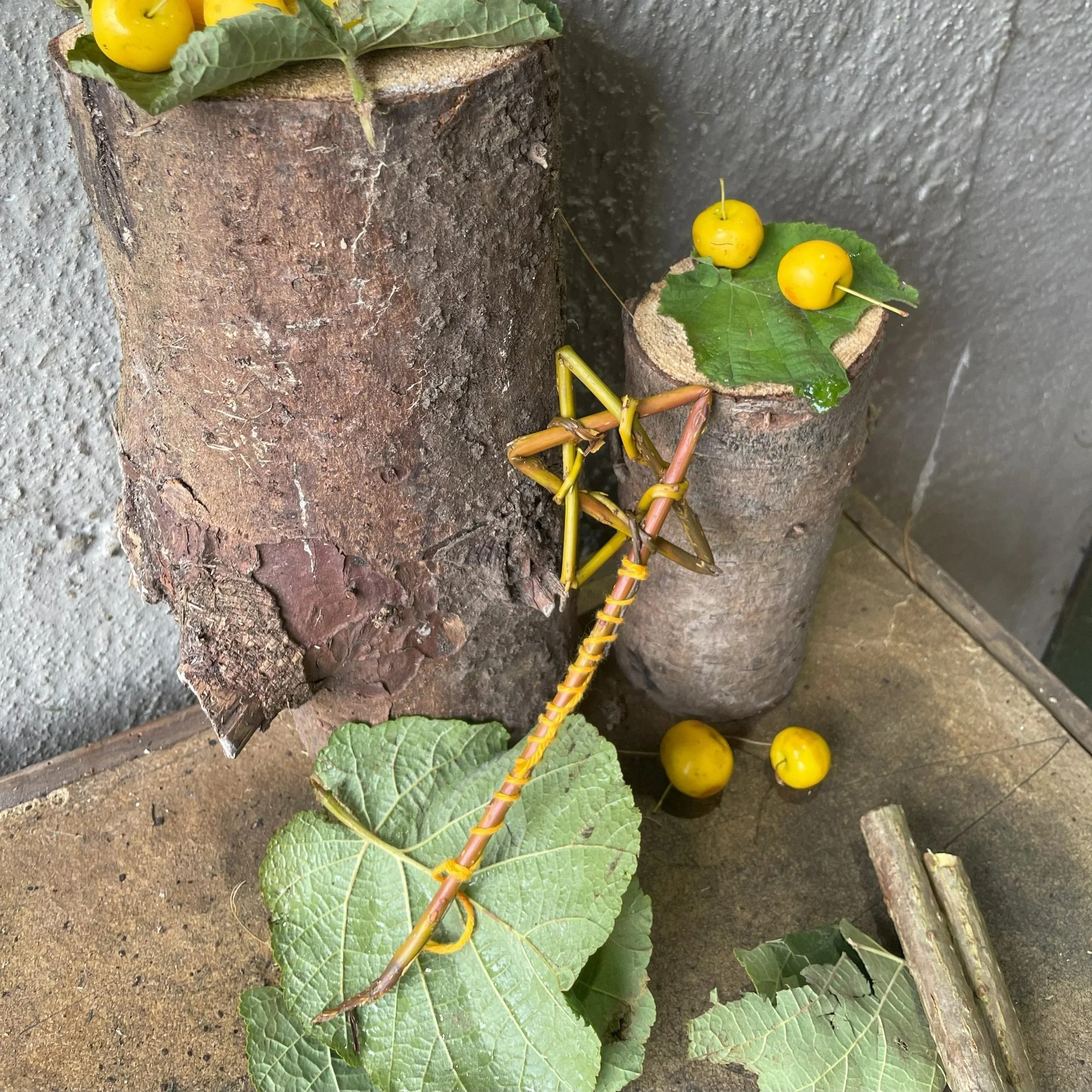 Magic+wand.jpg (Copy) (Copy) (Copy) (Copy) (Copy) (Copy) (Copy) (Copy) (Copy) (Copy) (Copy)