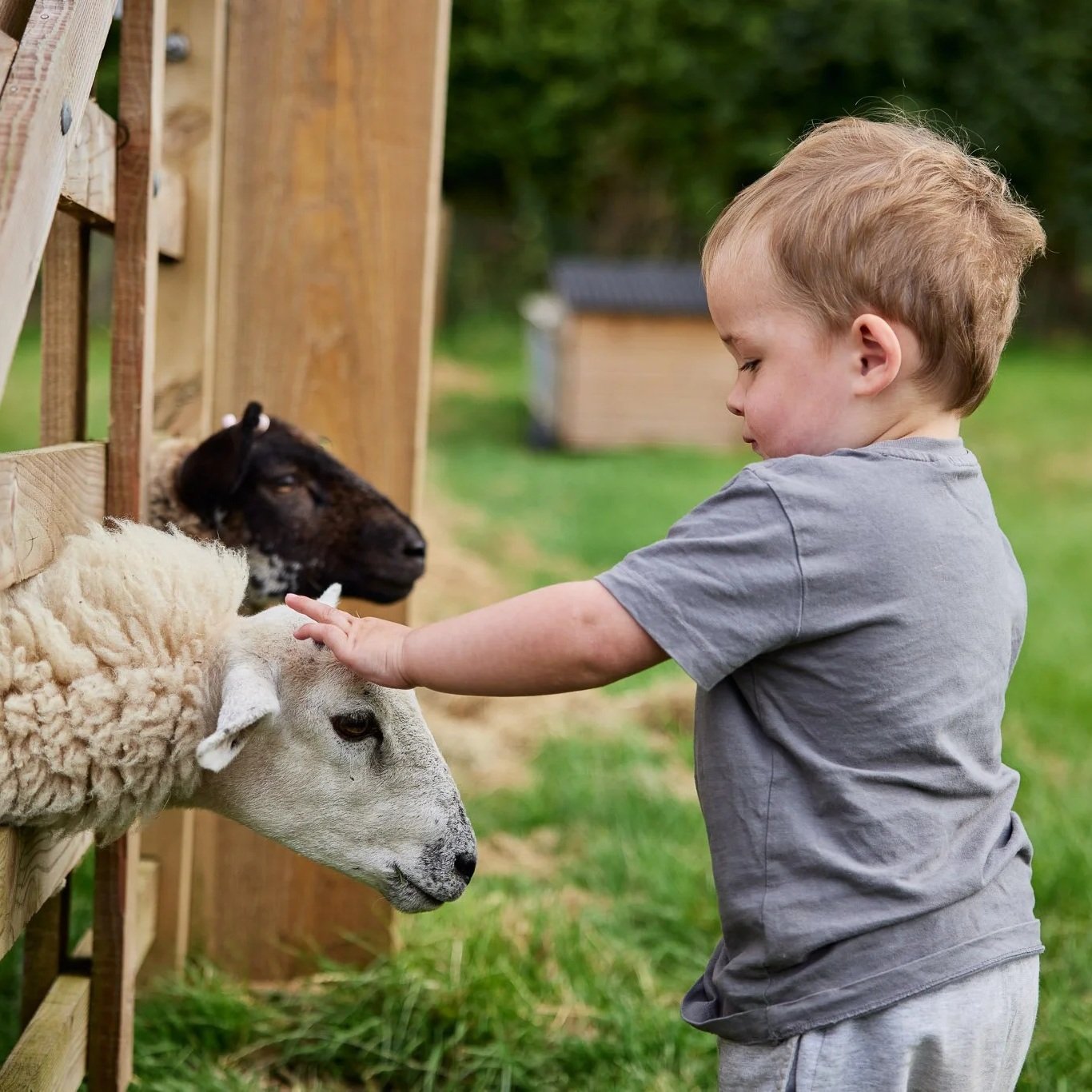 acorn-hollow-WEB-168.jpg (Copy) (Copy) (Copy) (Copy)