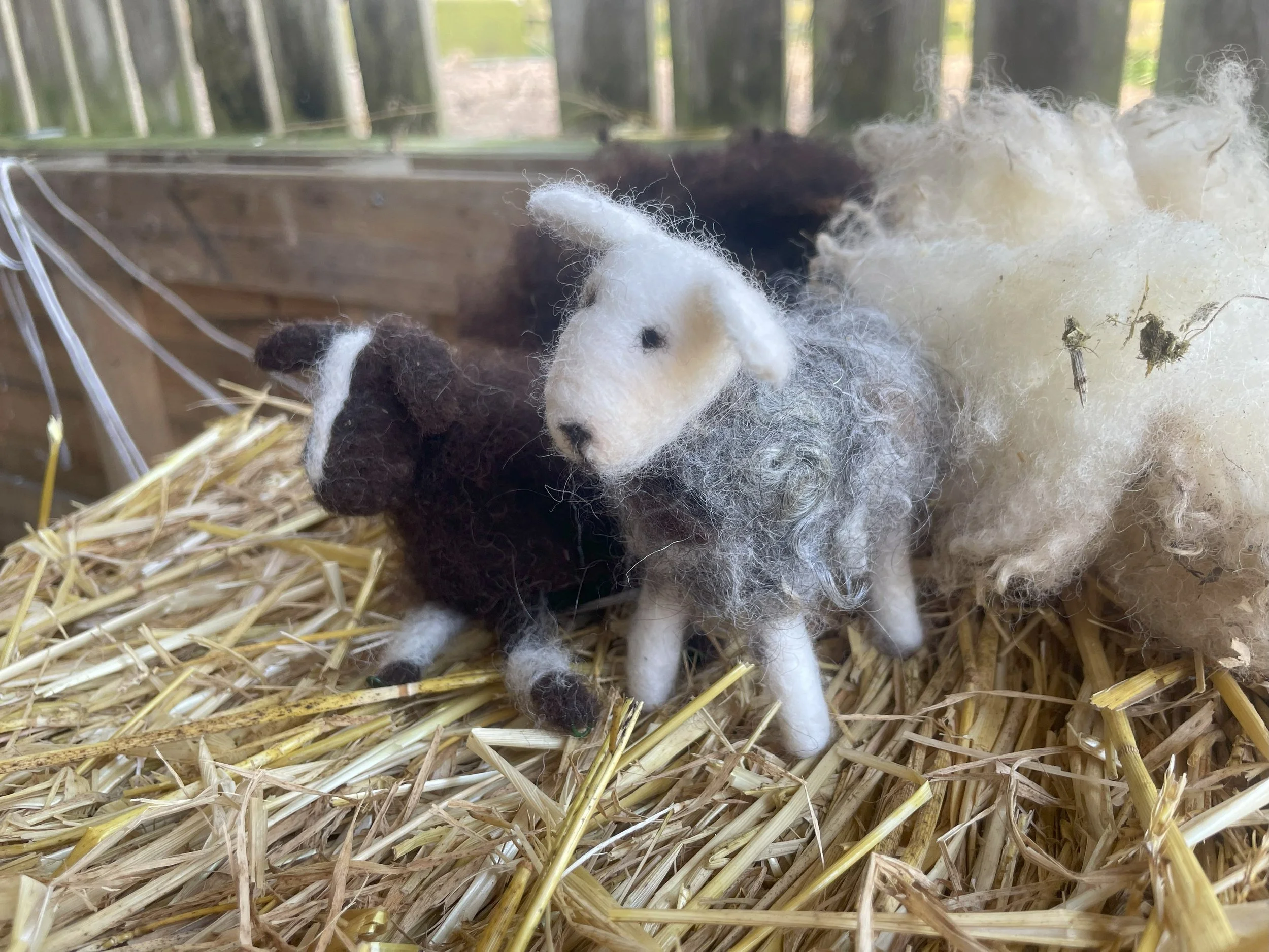 Fleece, Felt and Firelight - 4th April 1.00pm until 4.30pm