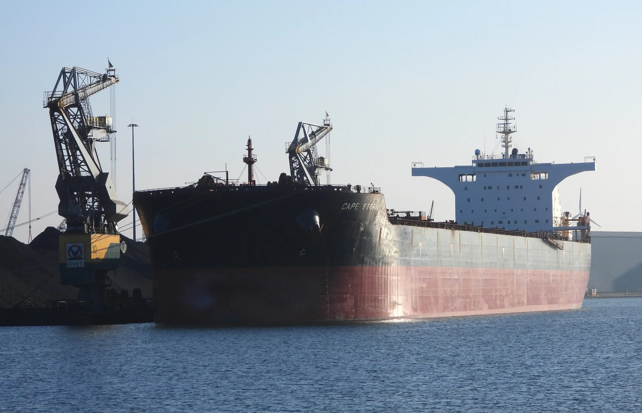 mv Cape Stork - 06/24/23 - Vlissingen-Oost (NL) 