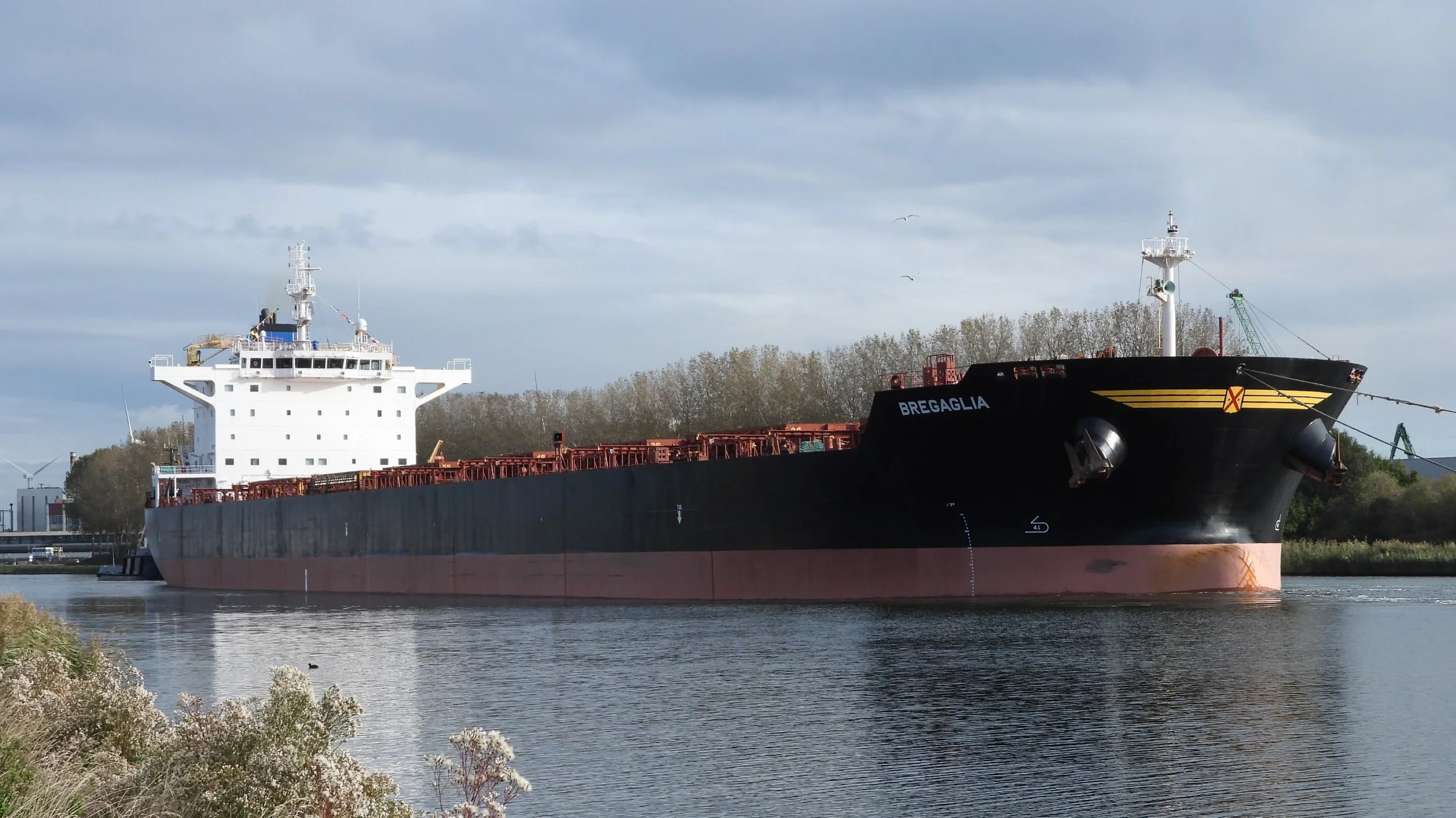 mv Bregaglia - 10/11/2024 - Sluiskil (NL)