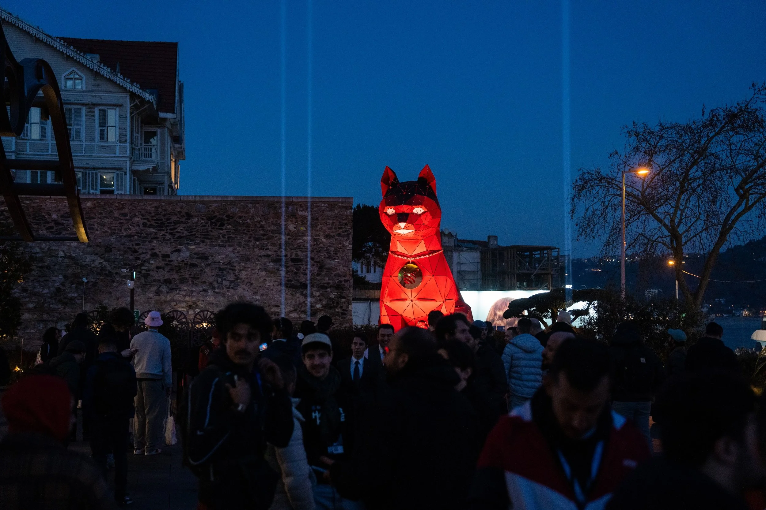 Catstanbul-Cat.jpg