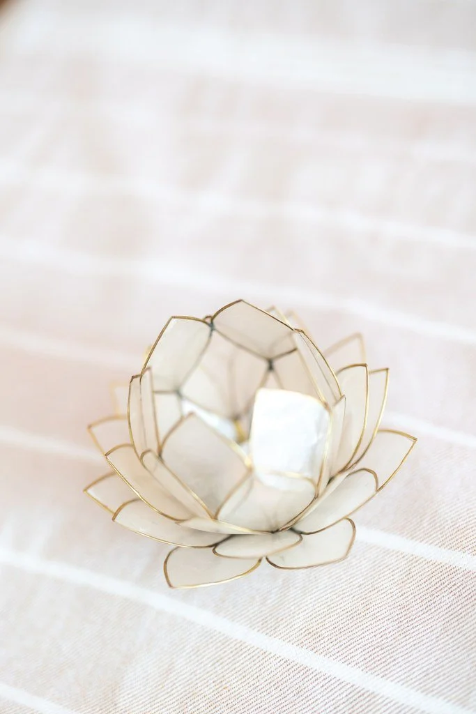 fleur de lotus lumière