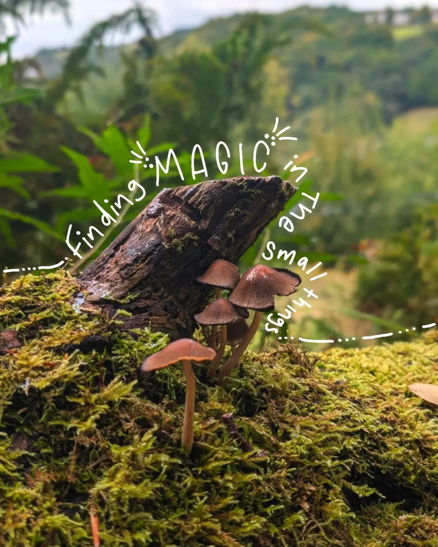 August threw me a curve ball, and September has been about big decisions, future goals, and the dreams I want for myself and my family. ✨

My kids have brought me back into a space of noticing the small things. I&rsquo;m so aware that this time with 