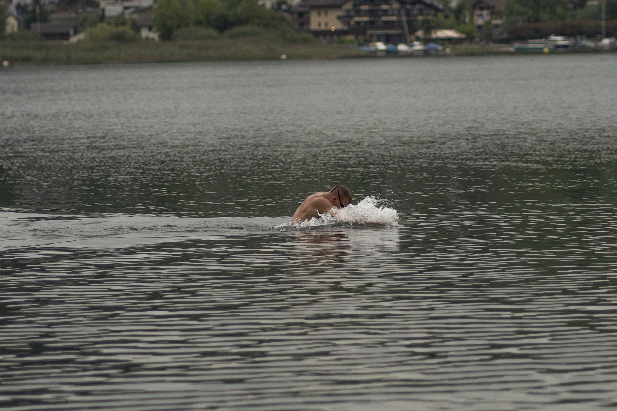Person schwimmt in einem See, umgeben von Natur und Gebäuden im Hintergrund.