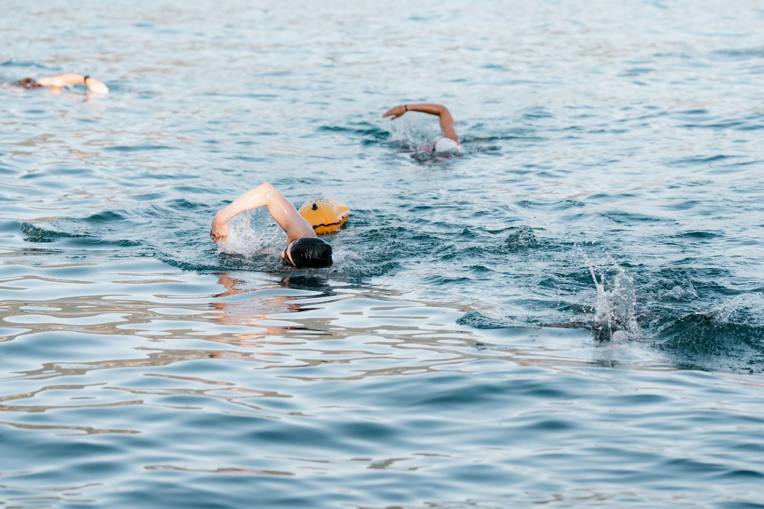 be_swimming-245.jpg