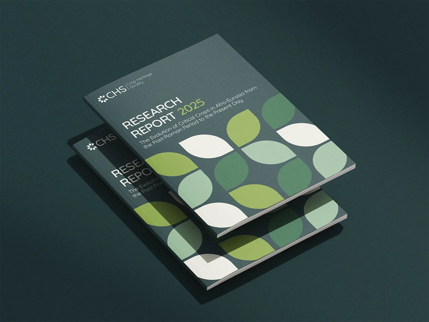 013_Report mockup_V3.jpg