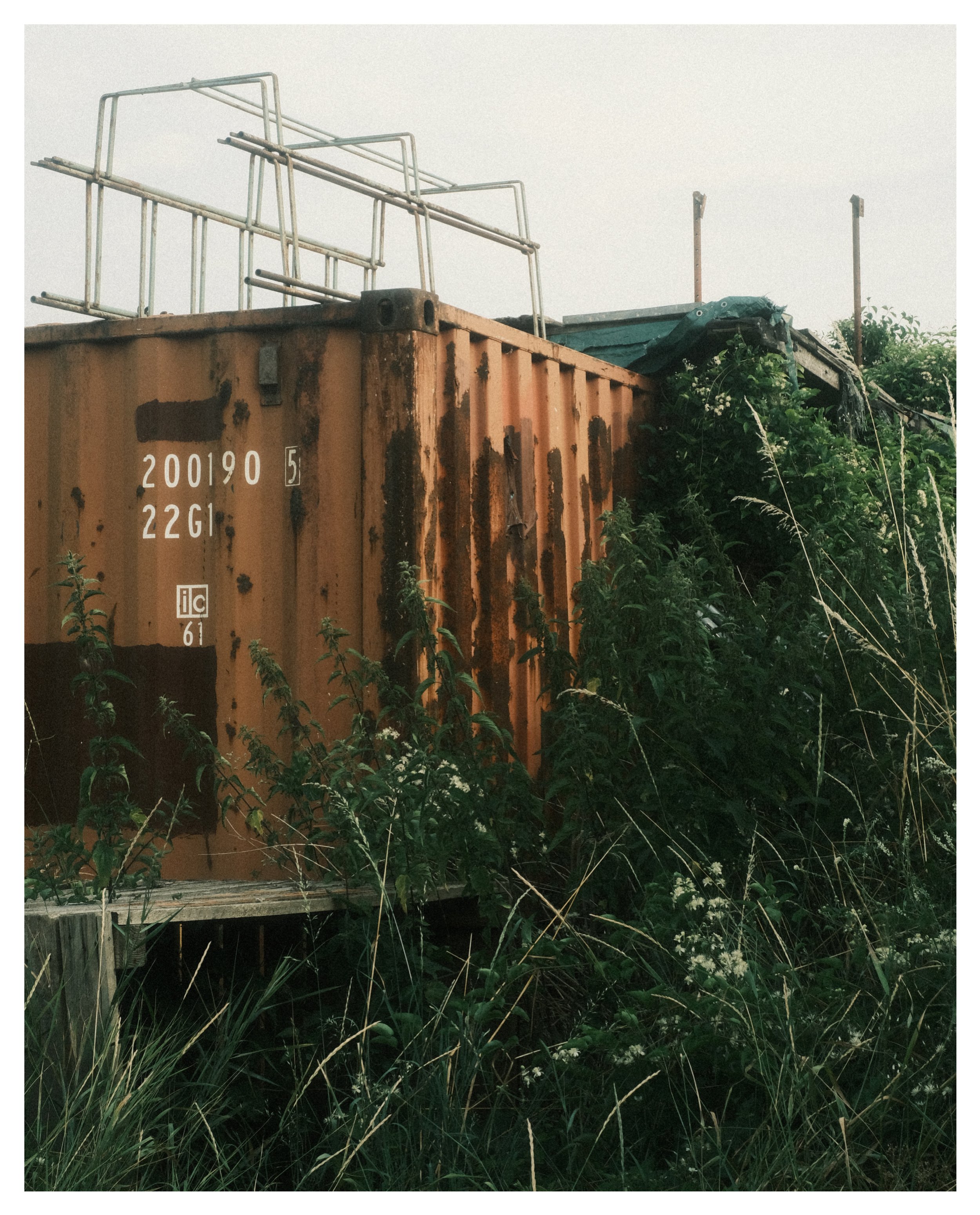80649430-CFDC-4FC4-8308-192A1AFD61B6.jpeg