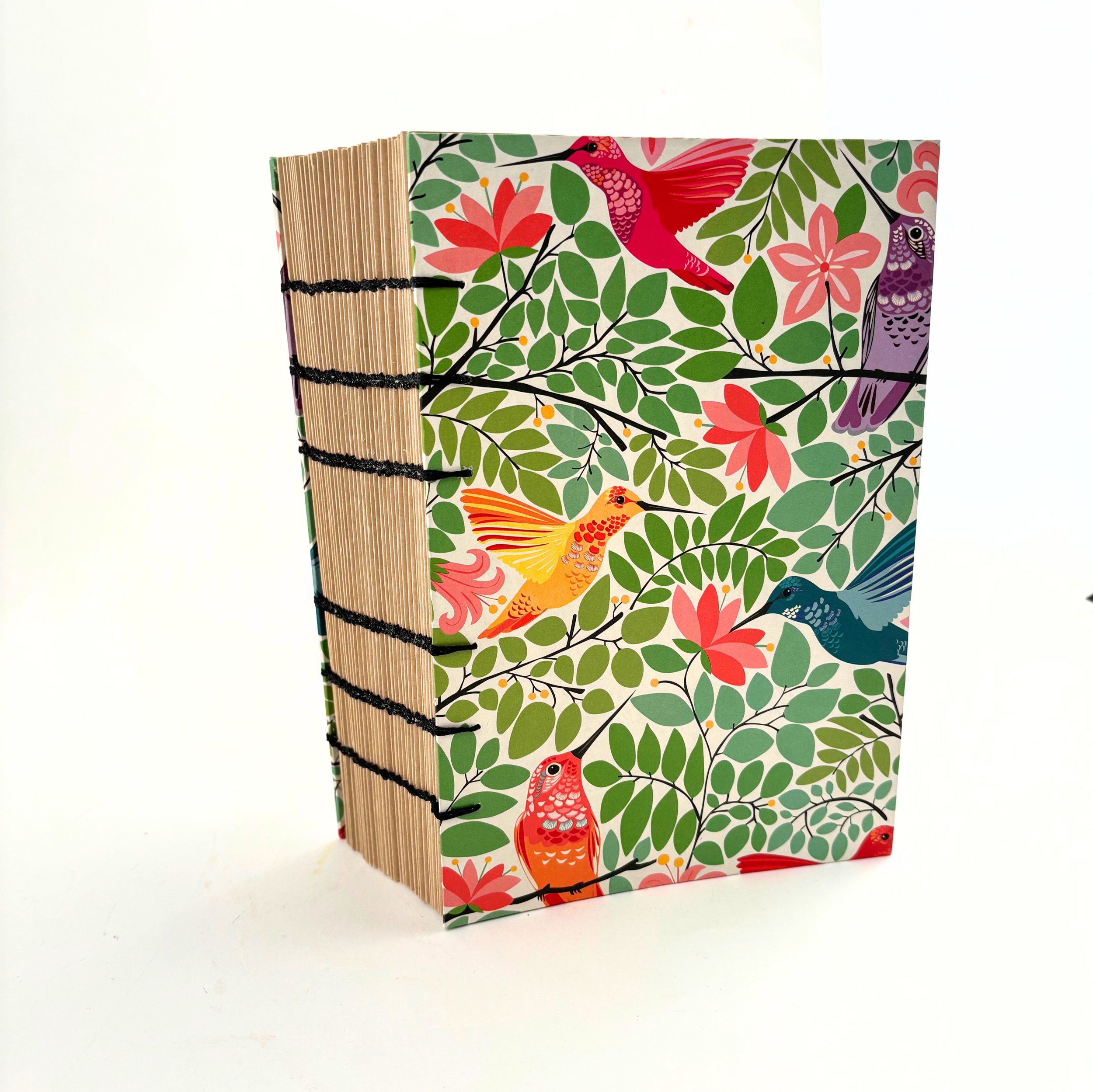 bird in the cage cover.jpg