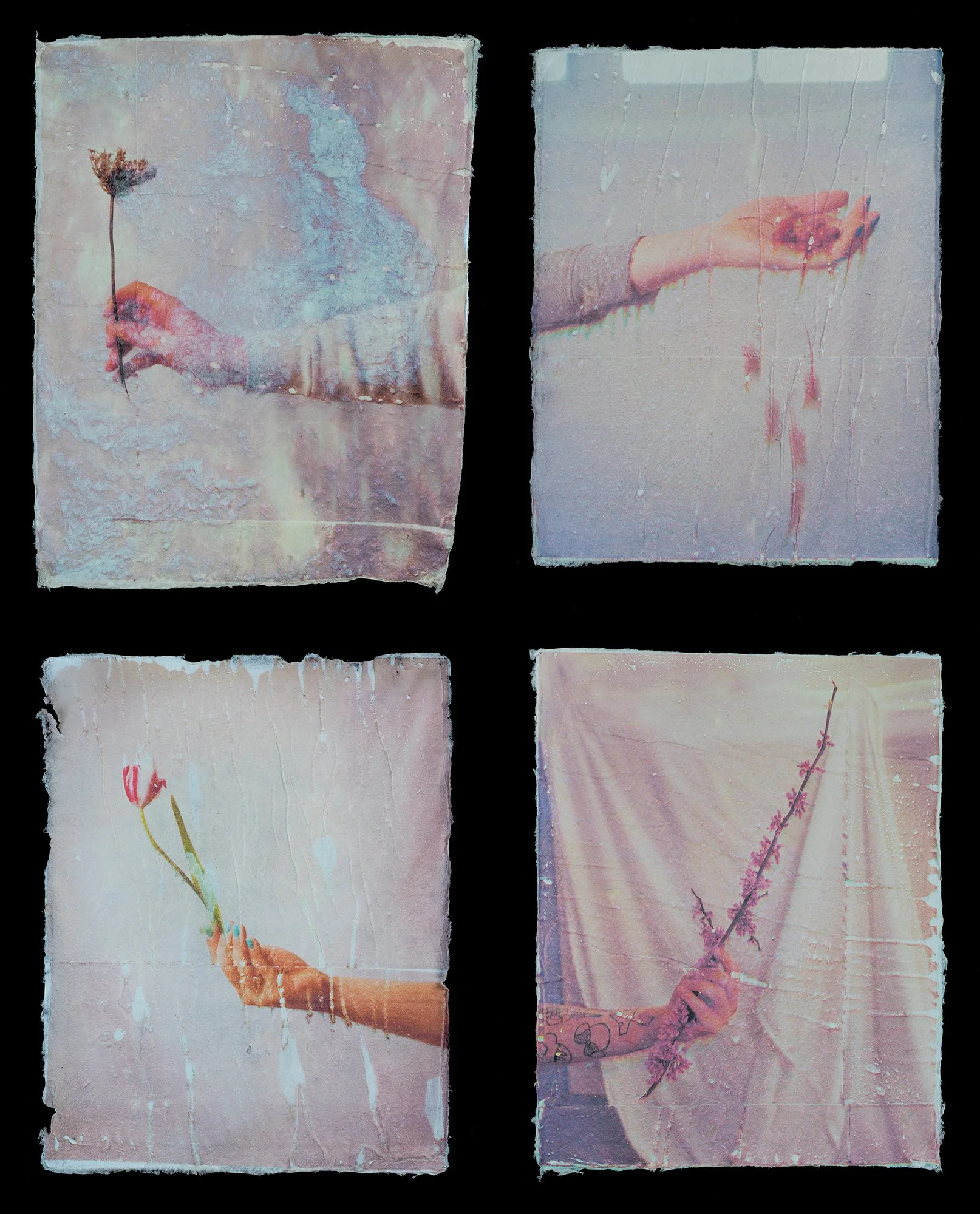 Objects of Knowledge.jpg