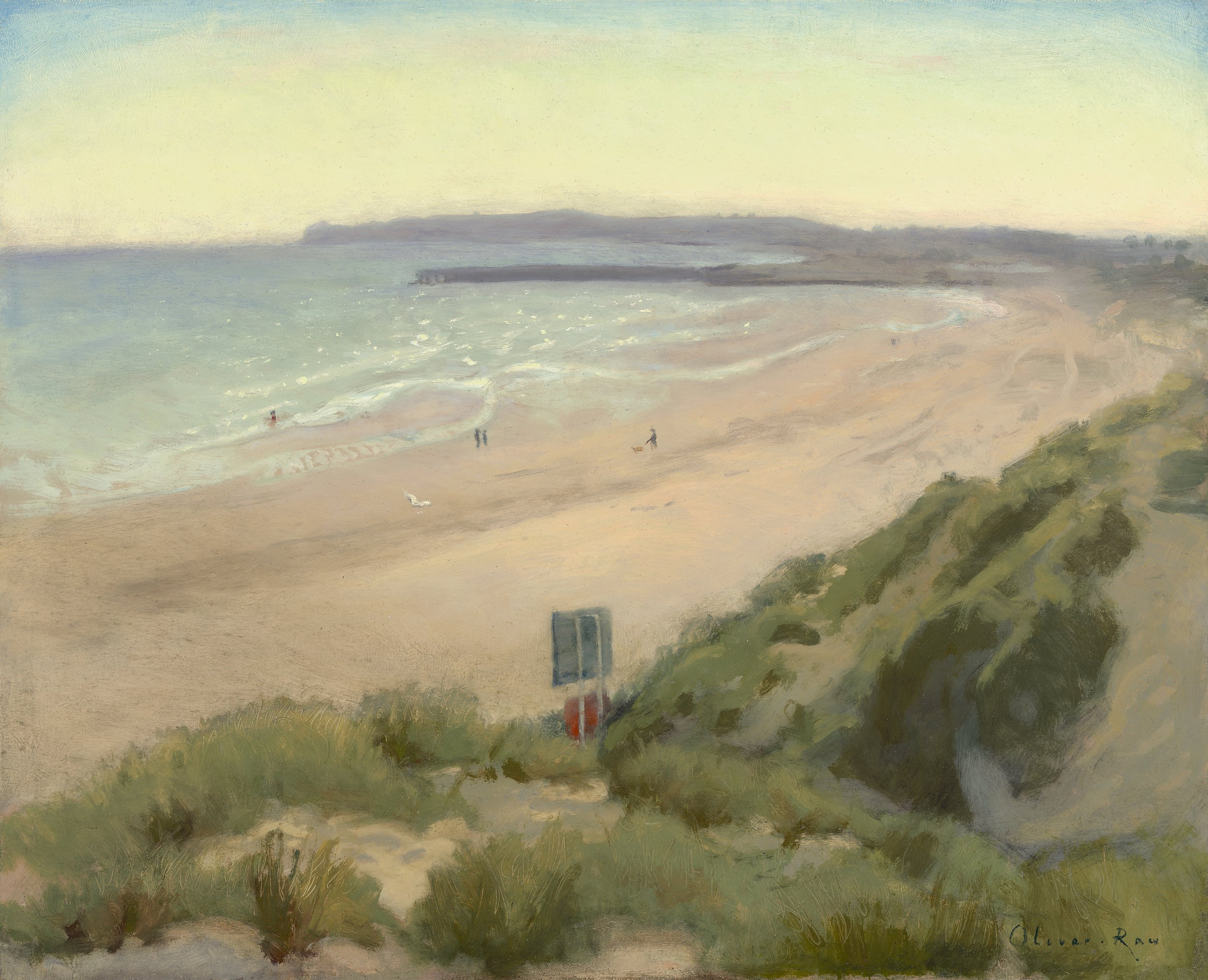 Camber Sands from Dunes copy.jpg